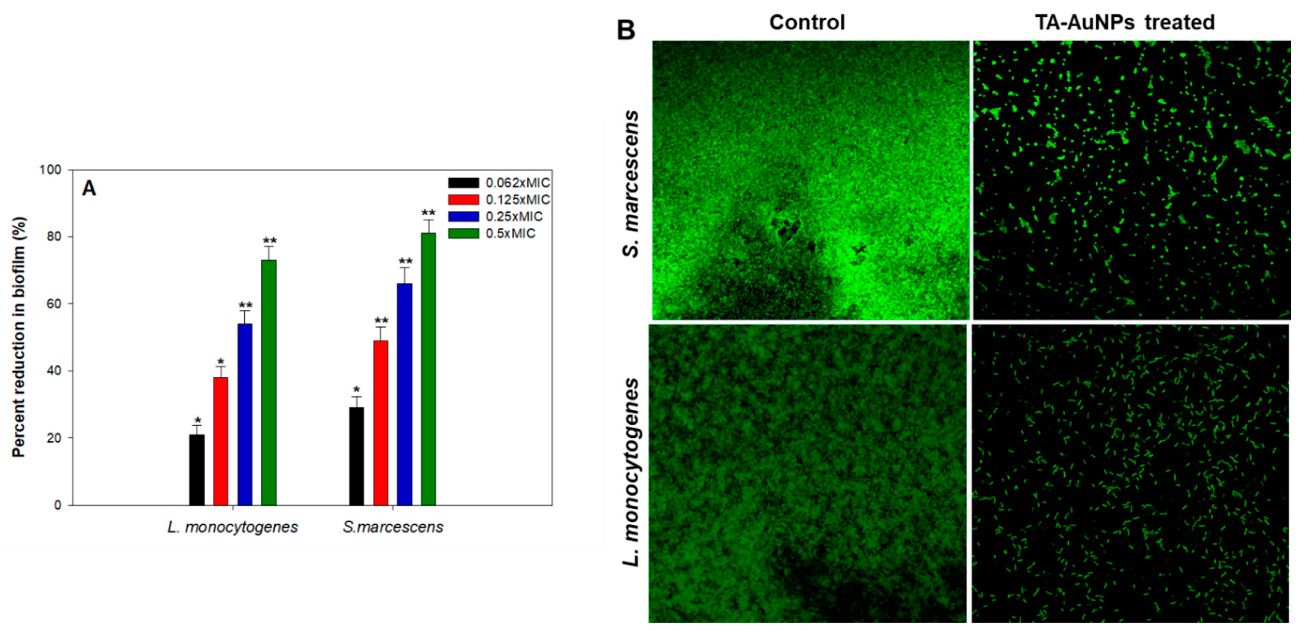 Biomolecules 11 00197 g004 Biomolecules 11 00197 g004