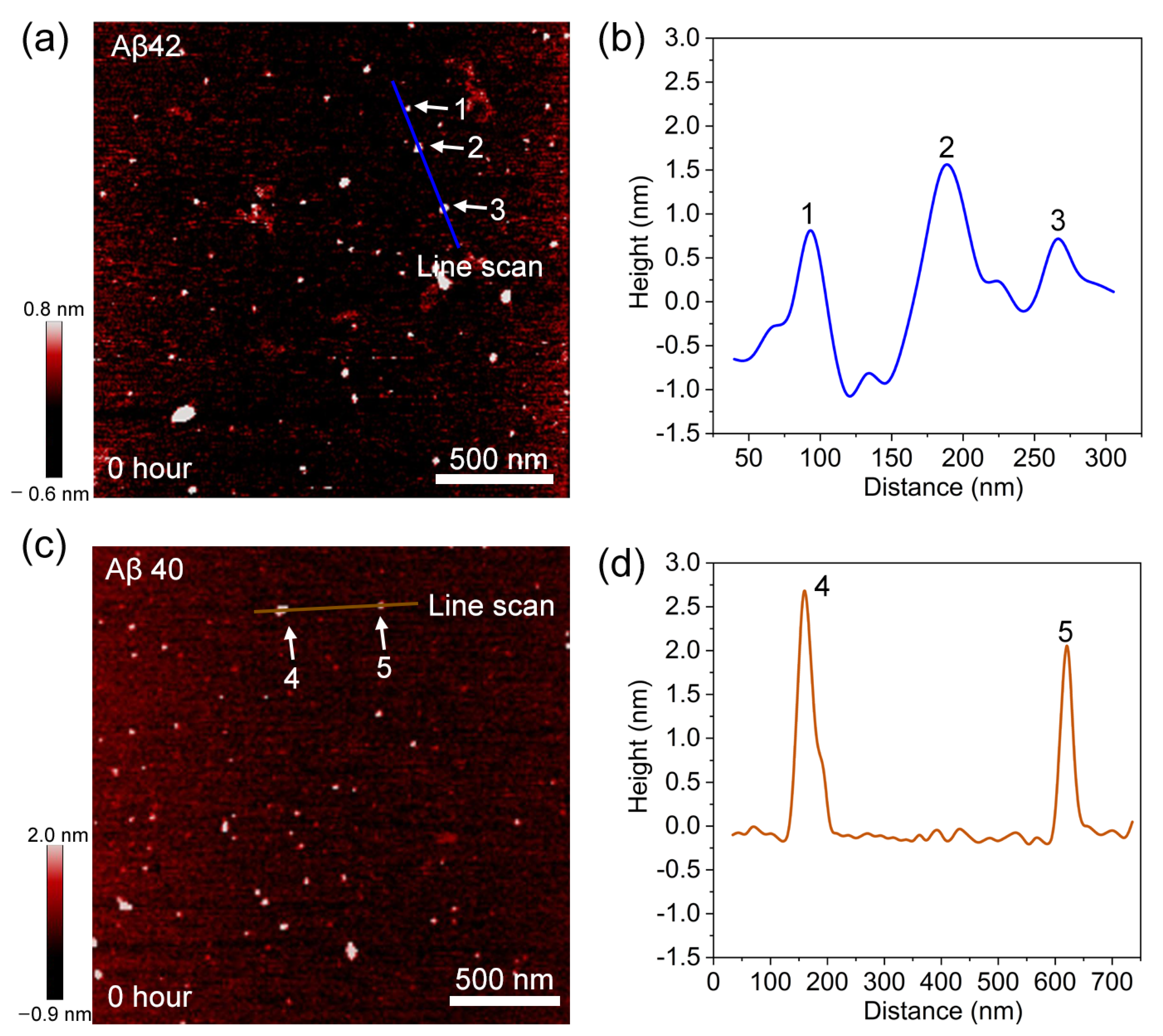 Biomolecules 11 00198 g005 Biomolecules 11 00198 g005