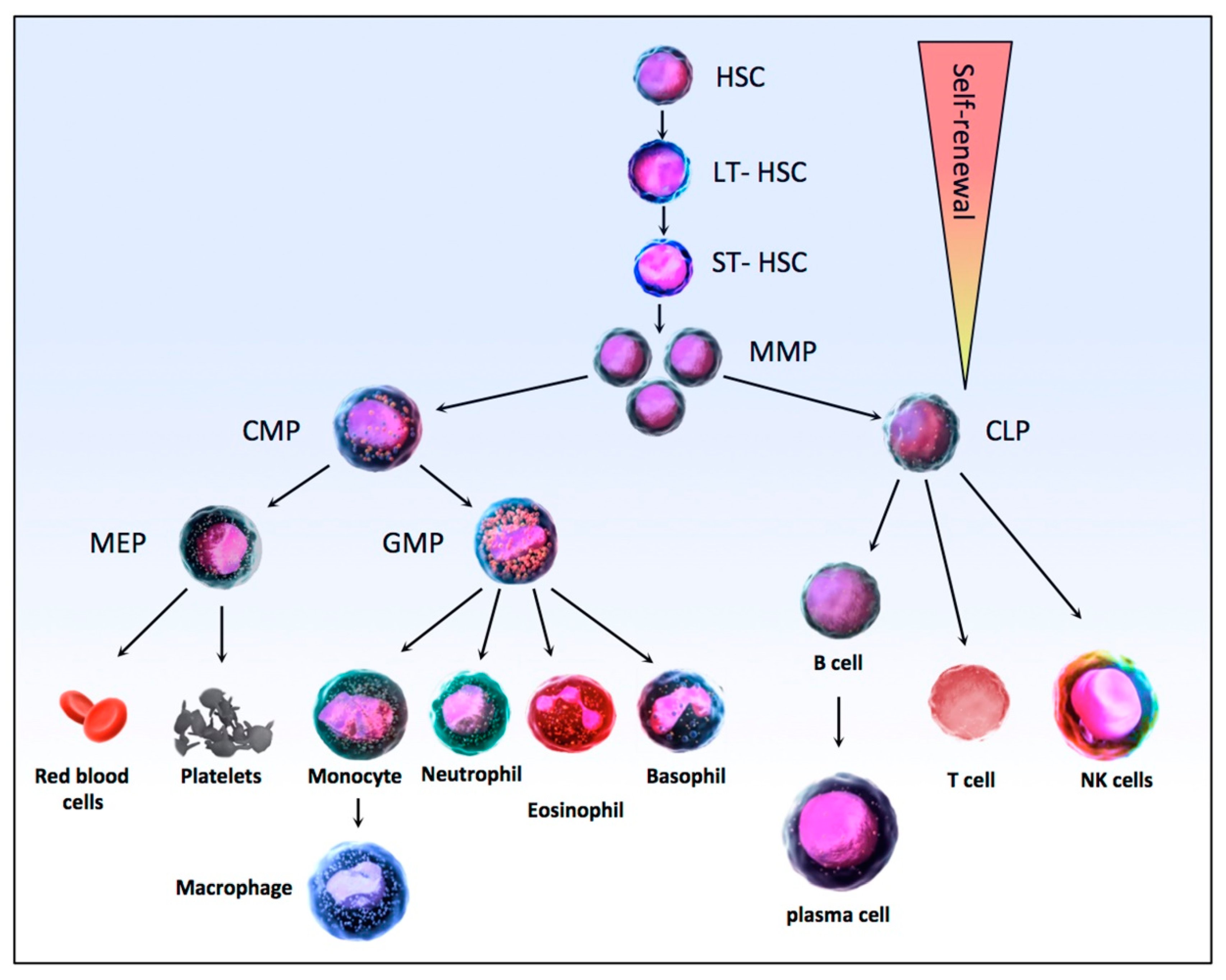 Biomolecules 11 00199 g002