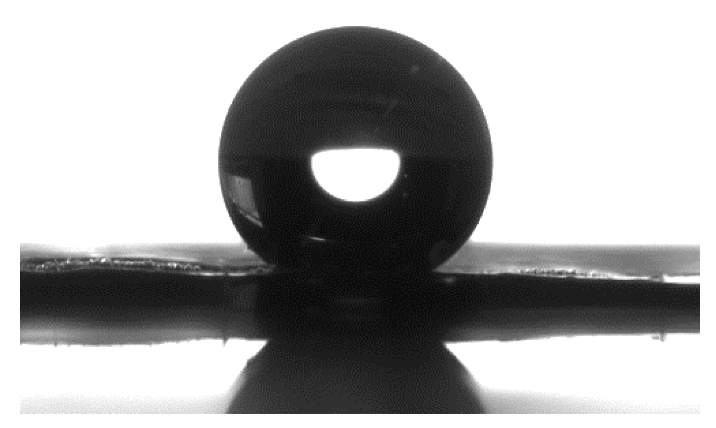 Biomolecules 11 00200 g003 Biomolecules 11 00200 g003