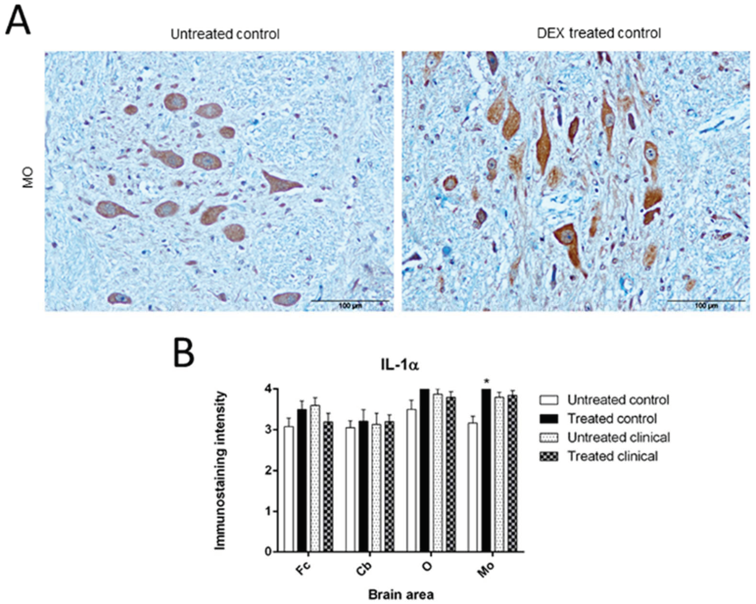 Biomolecules 11 00204 g001
