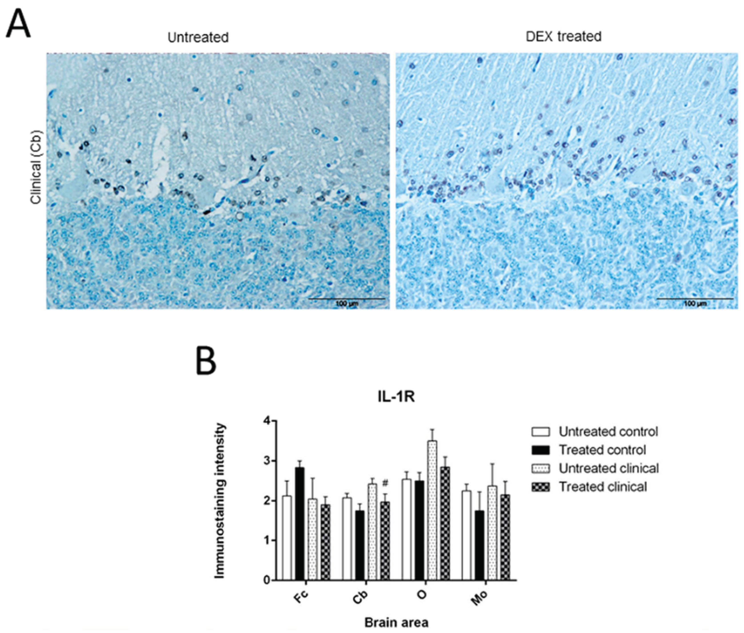 Biomolecules 11 00204 g003