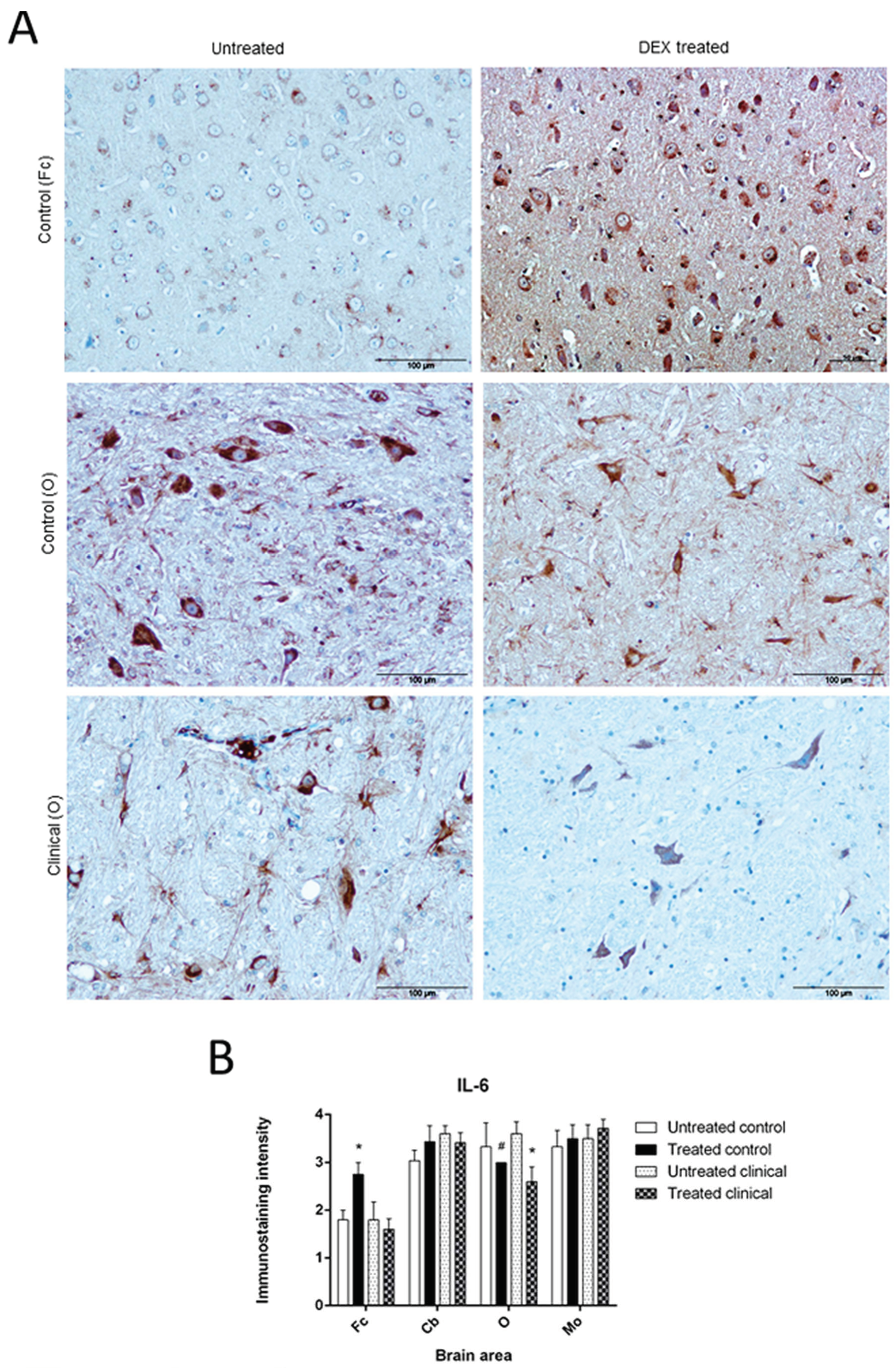 Biomolecules 11 00204 g005