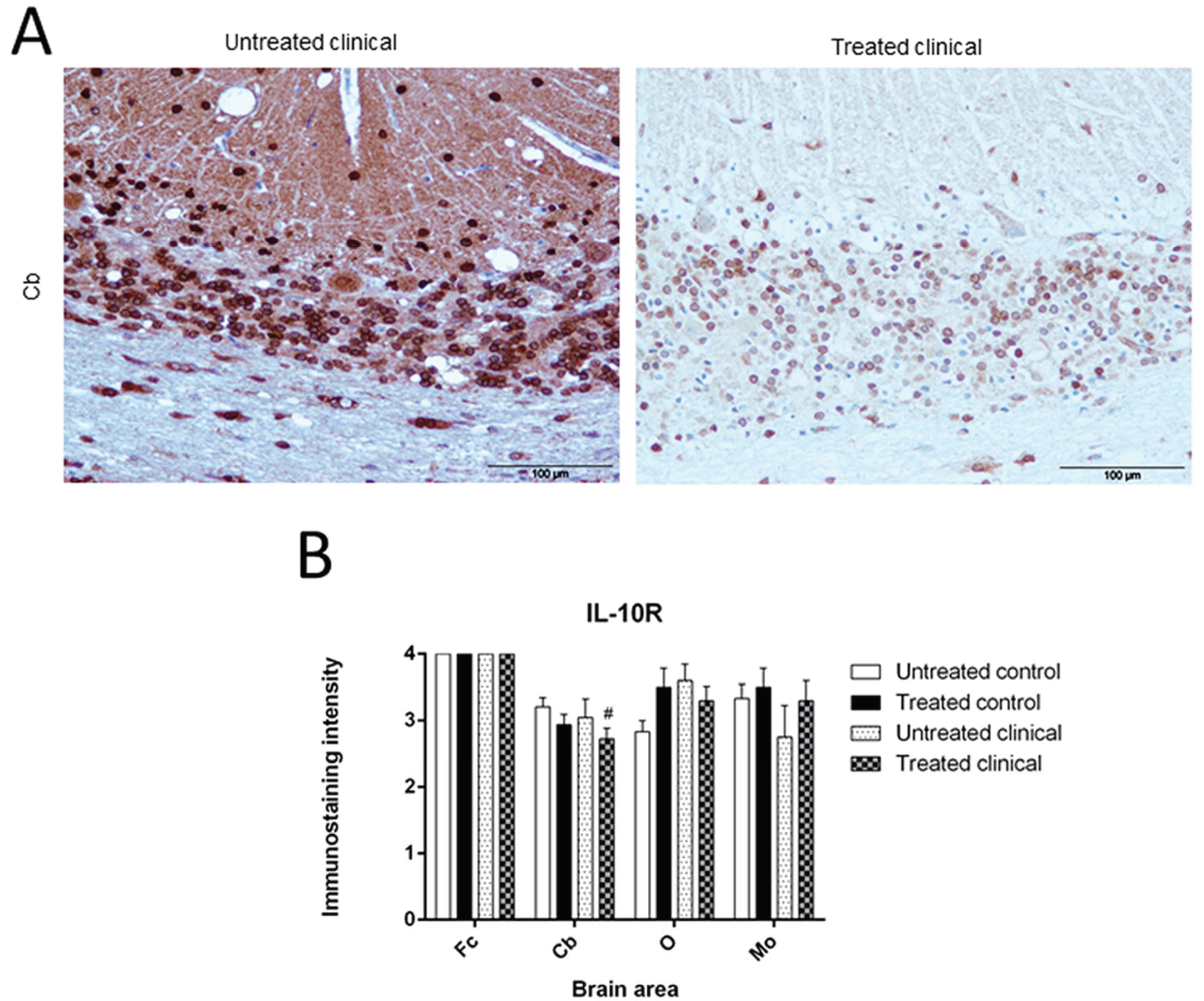 Biomolecules 11 00204 g006