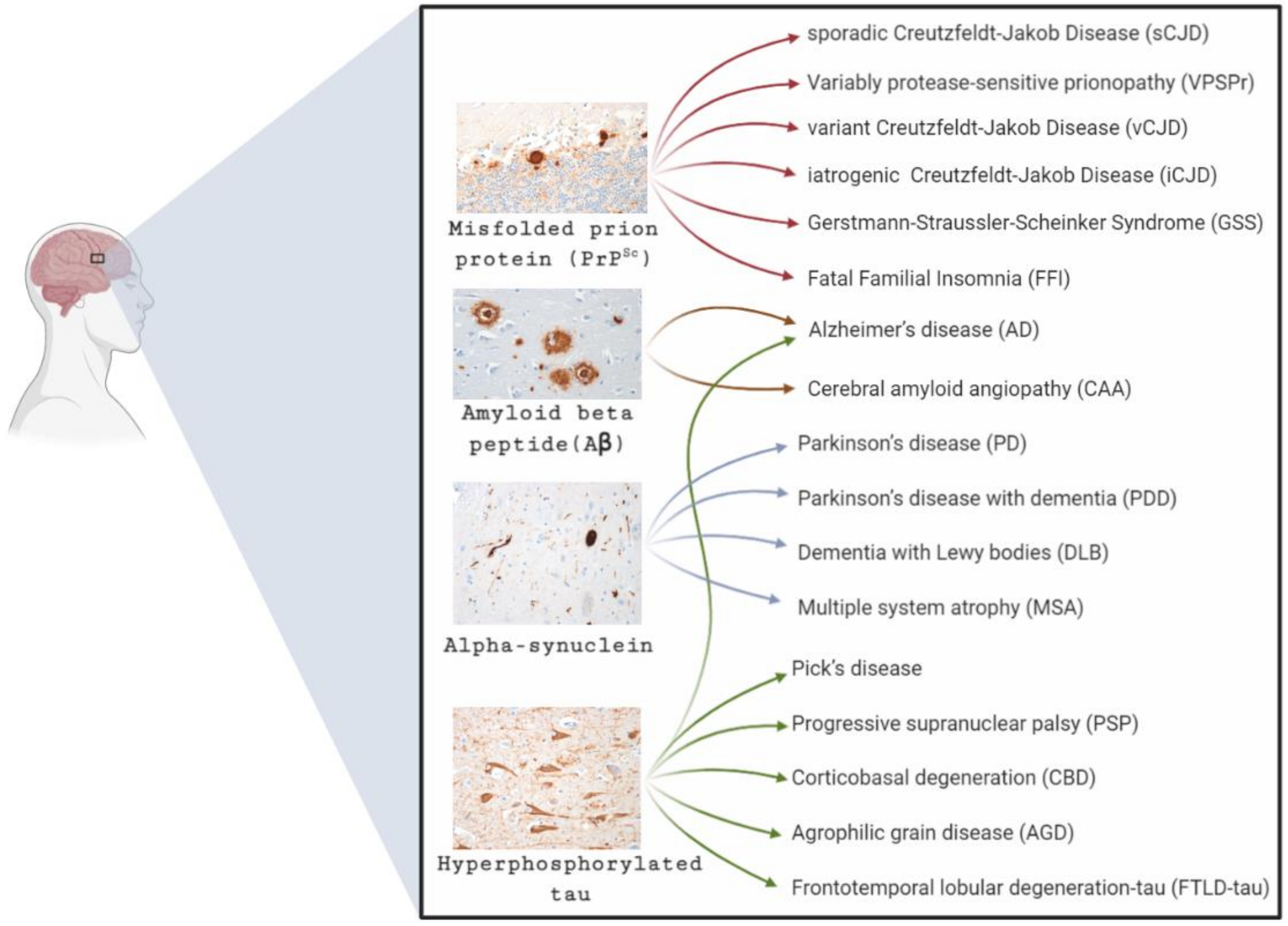 Biomolecules 11 00207 g001
