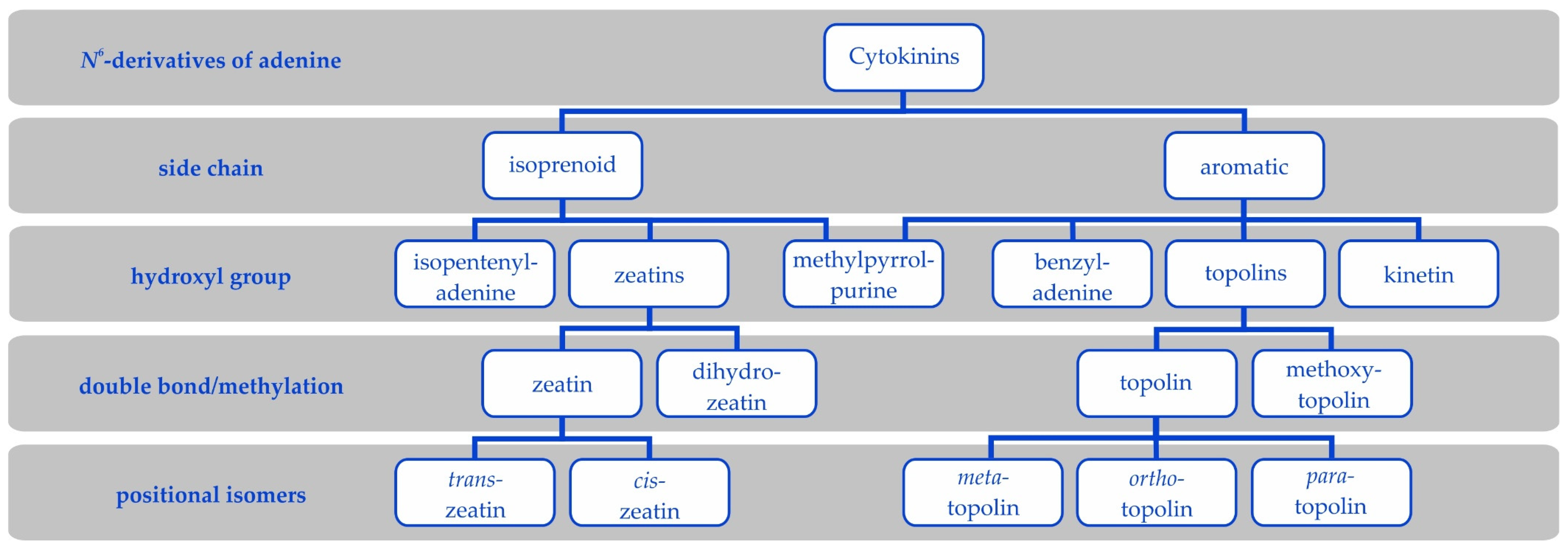 Biomolecules 11 00209 g002