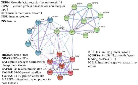 Biomolecules 11 00217 g003