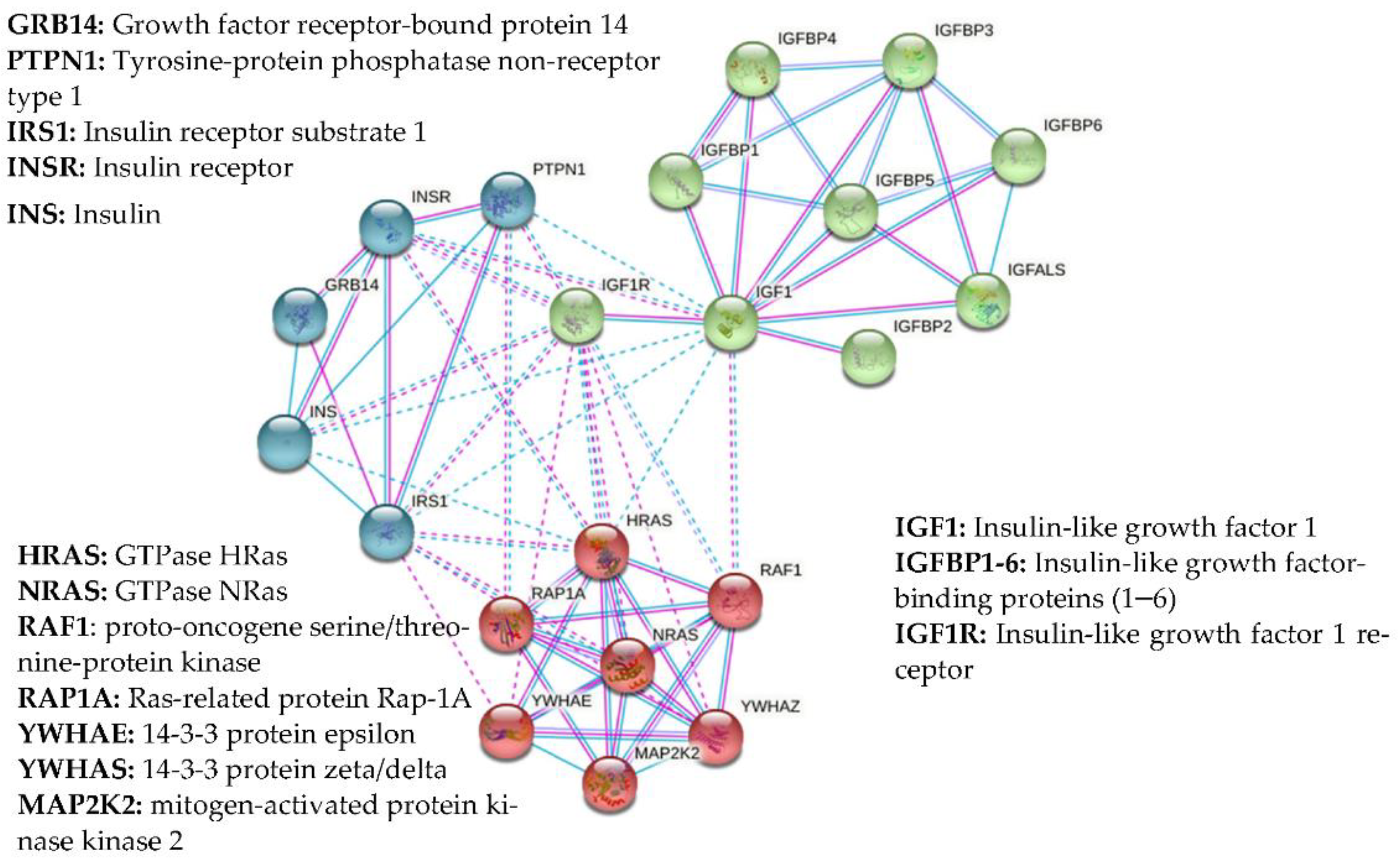 Biomolecules 11 00217 g003 Biomolecules 11 00217 g003