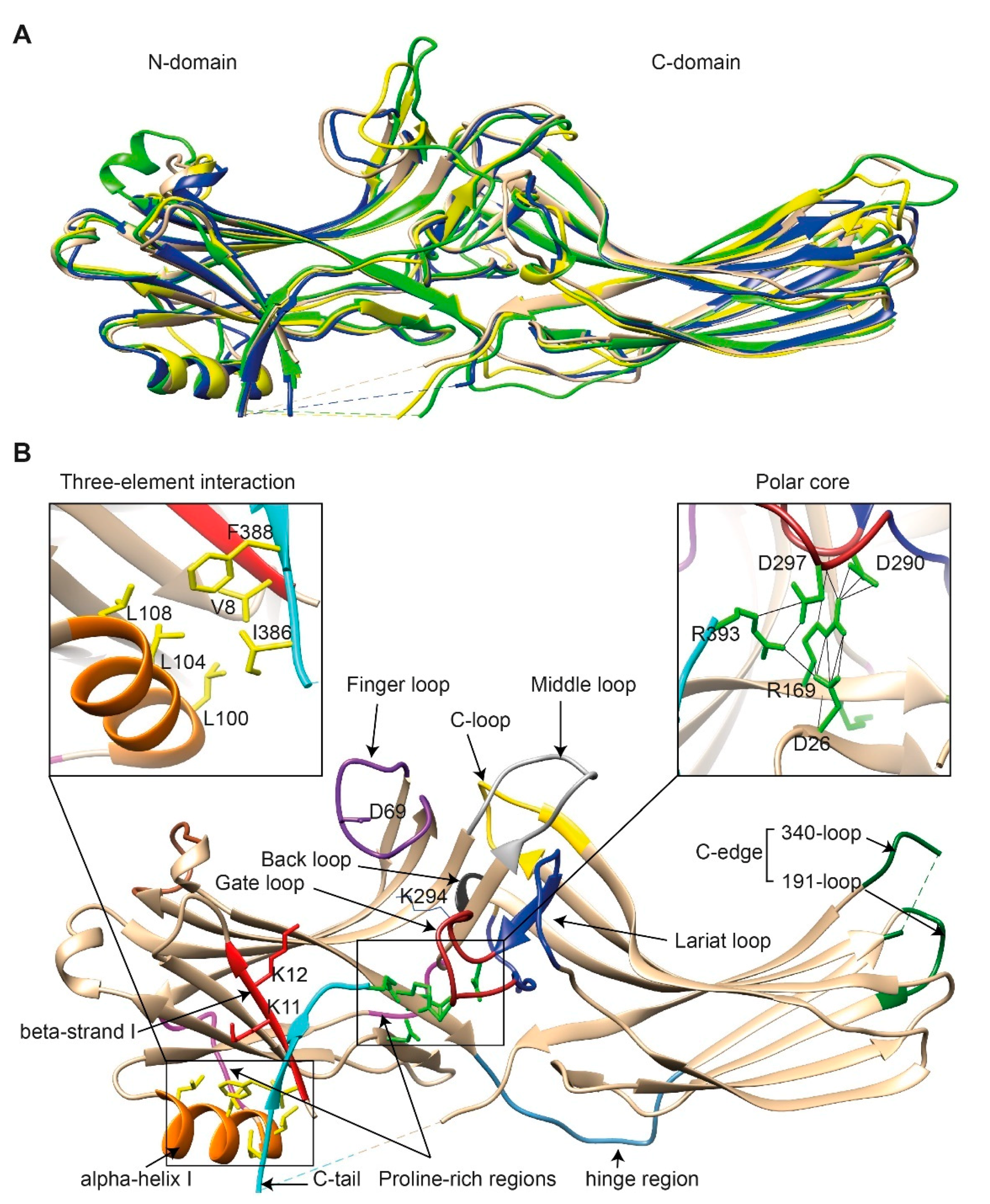 Biomolecules 11 00218 g001 Biomolecules 11 00218 g001