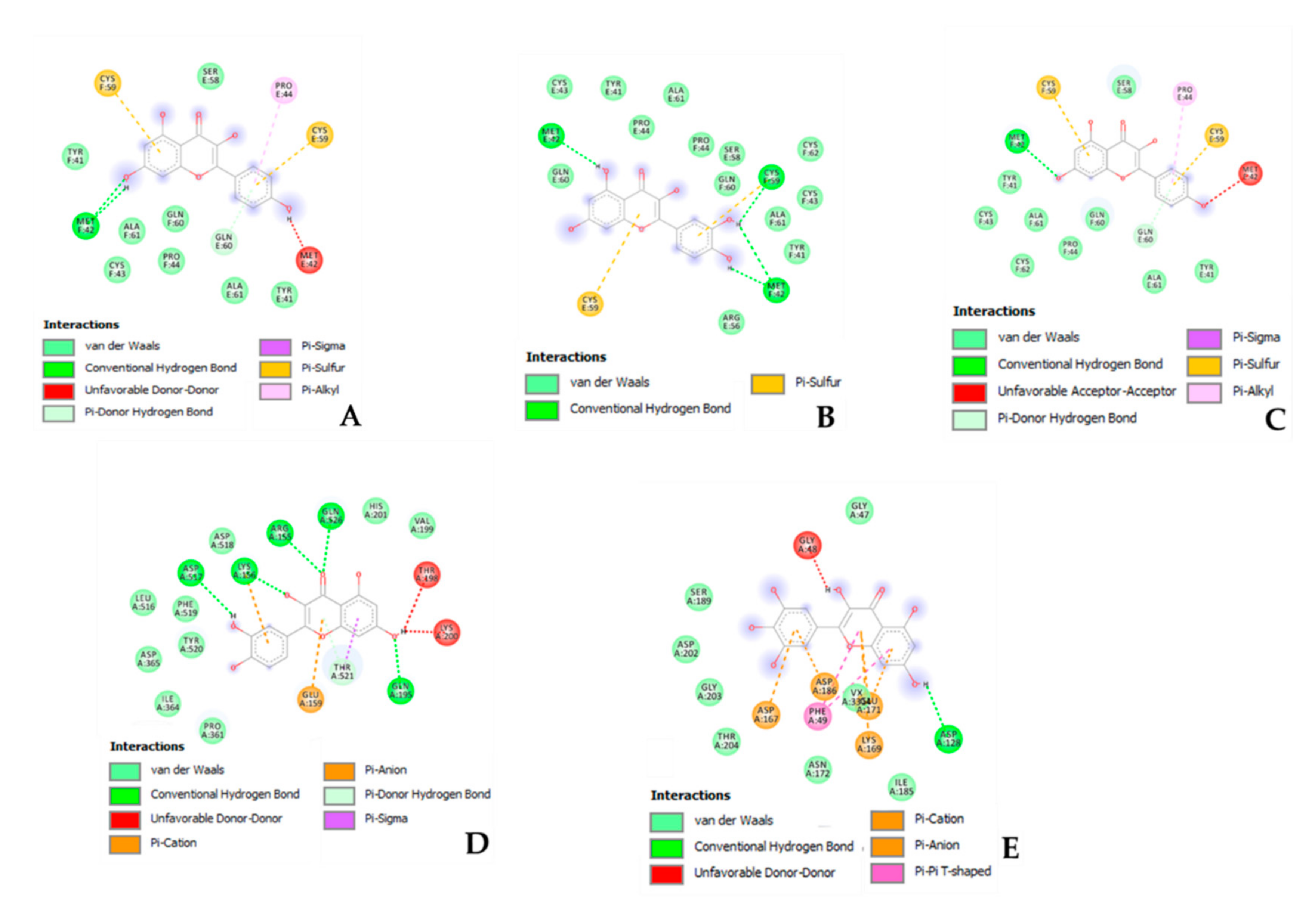 Biomolecules 11 00219 g002 Biomolecules 11 00219 g002
