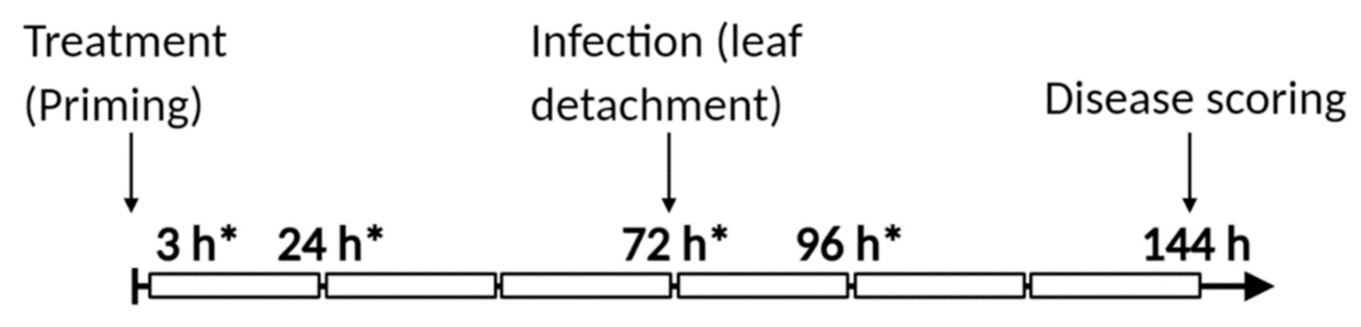 Biomolecules 11 00223 g001 Biomolecules 11 00223 g001