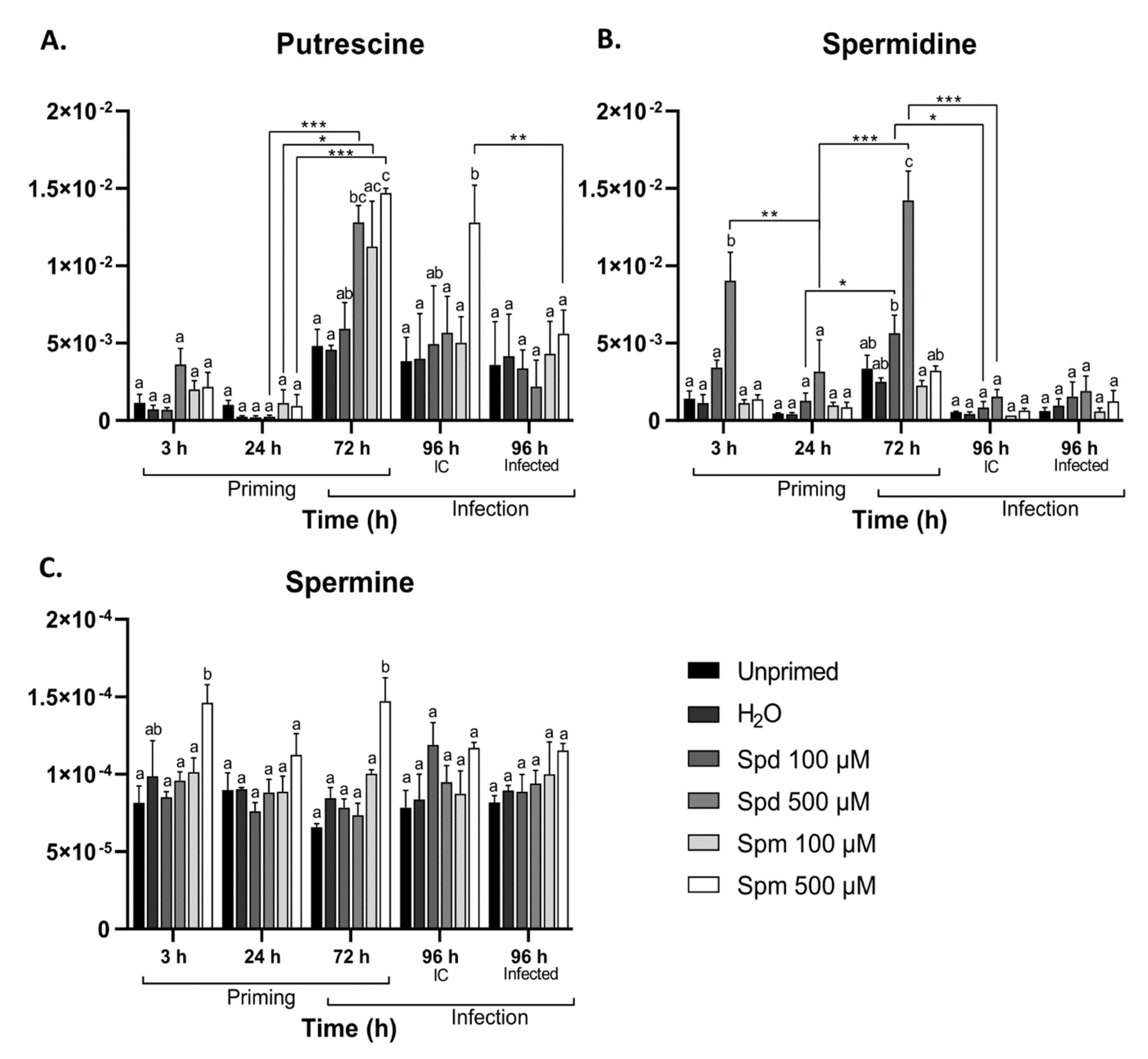 Biomolecules 11 00223 g003 Biomolecules 11 00223 g003