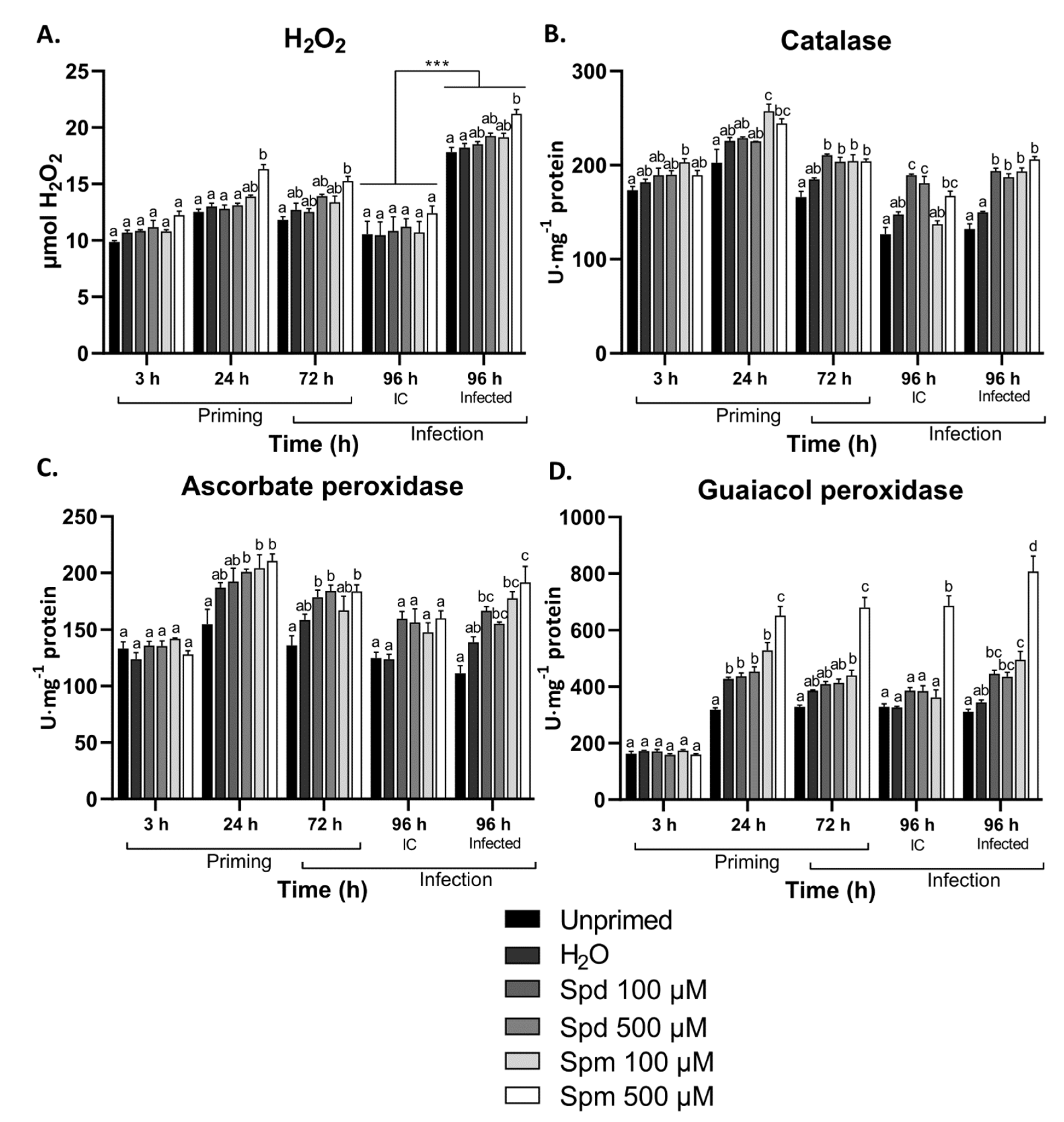 Biomolecules 11 00223 g004 Biomolecules 11 00223 g004