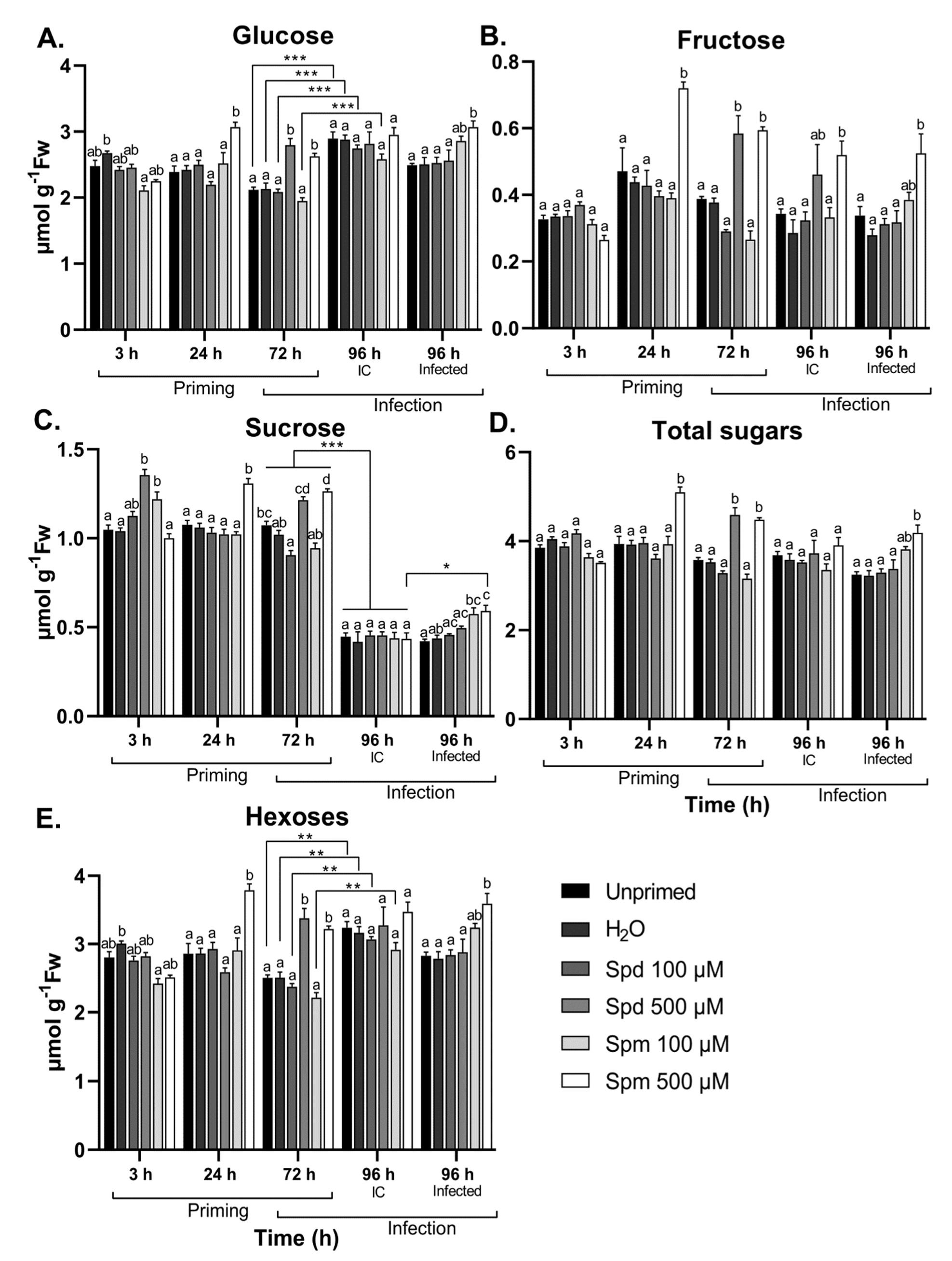 Biomolecules 11 00223 g005 Biomolecules 11 00223 g005