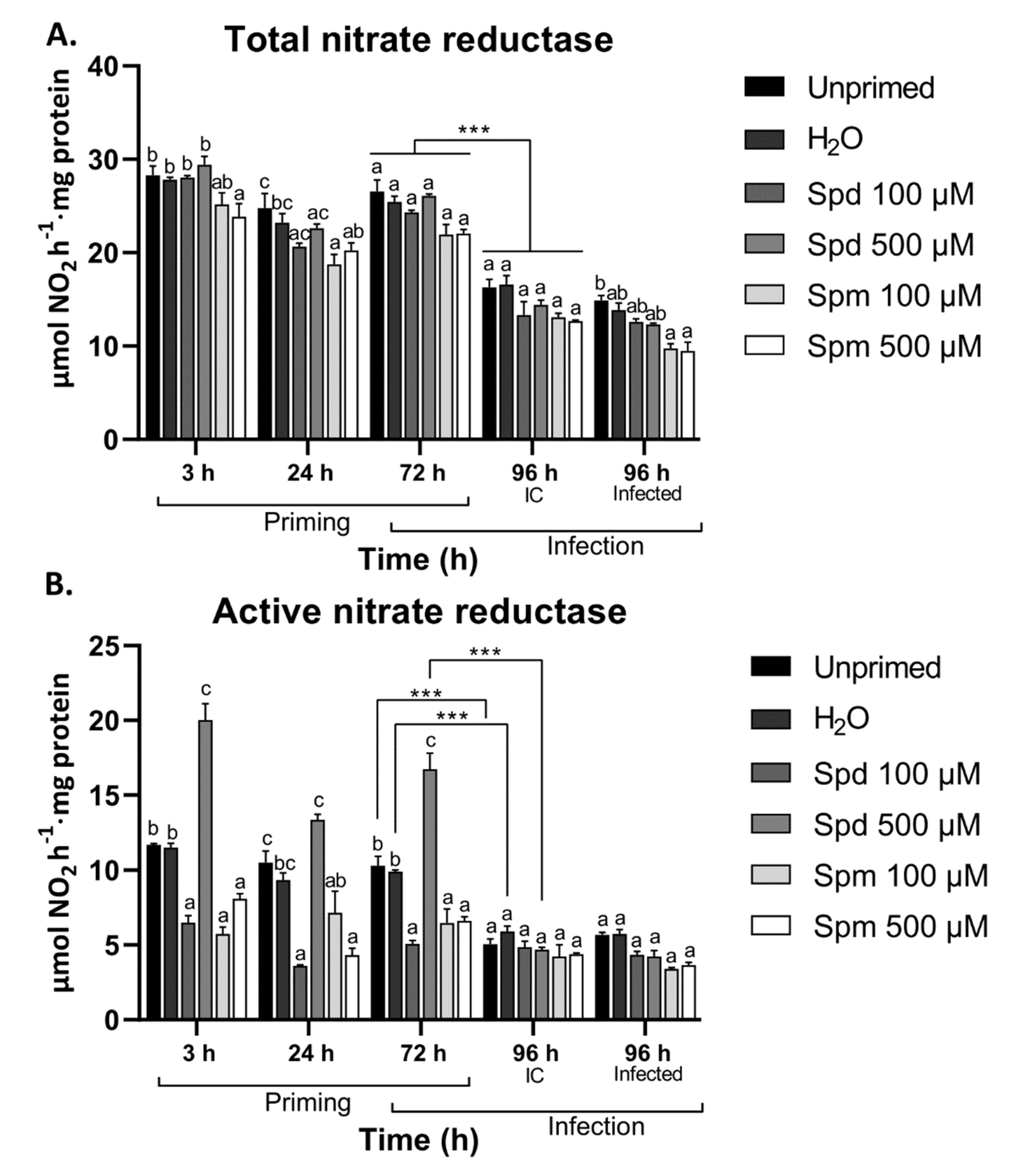 Biomolecules 11 00223 g006 Biomolecules 11 00223 g006