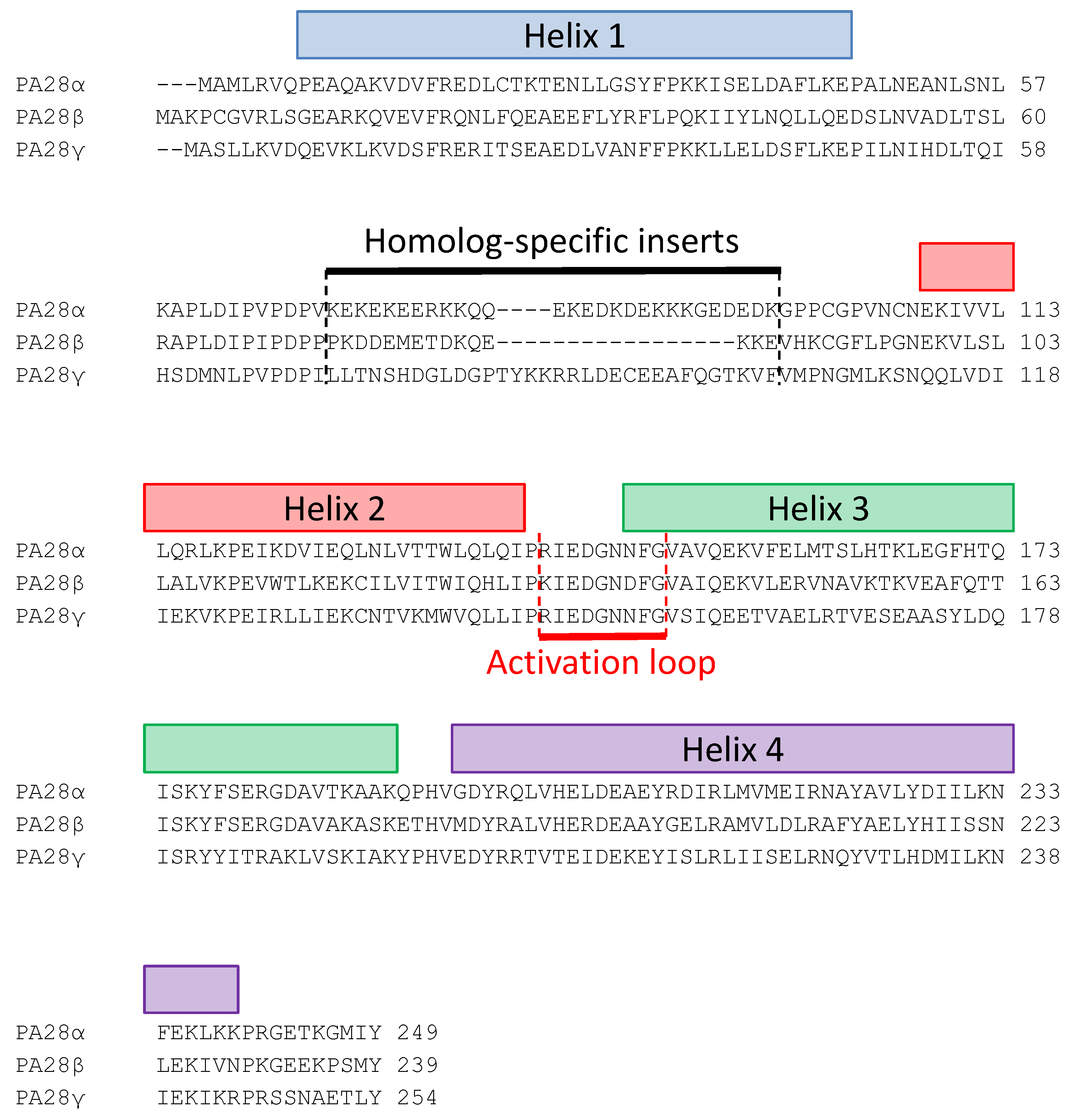 Biomolecules 11 00228 g003