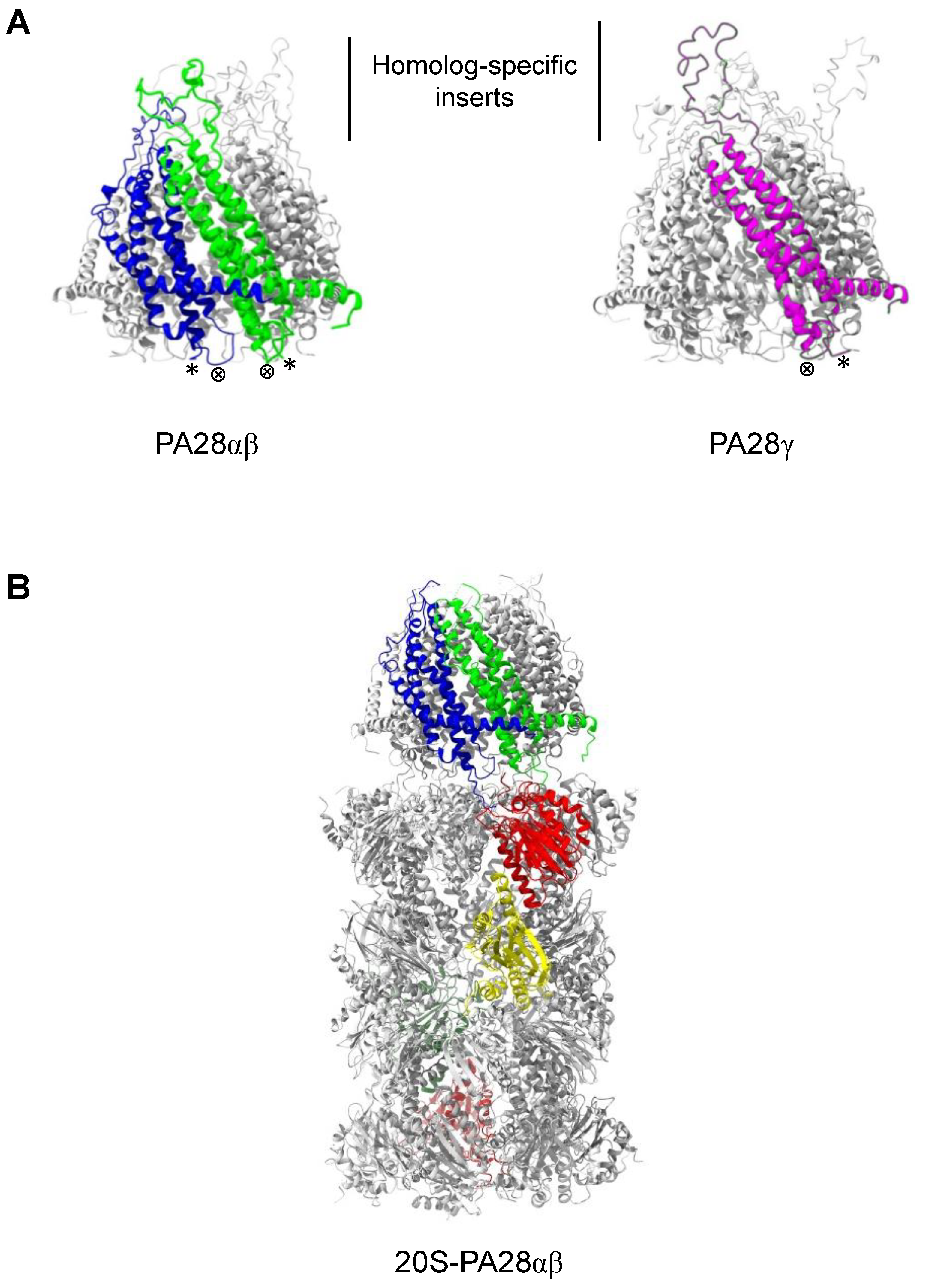 Biomolecules 11 00228 g004