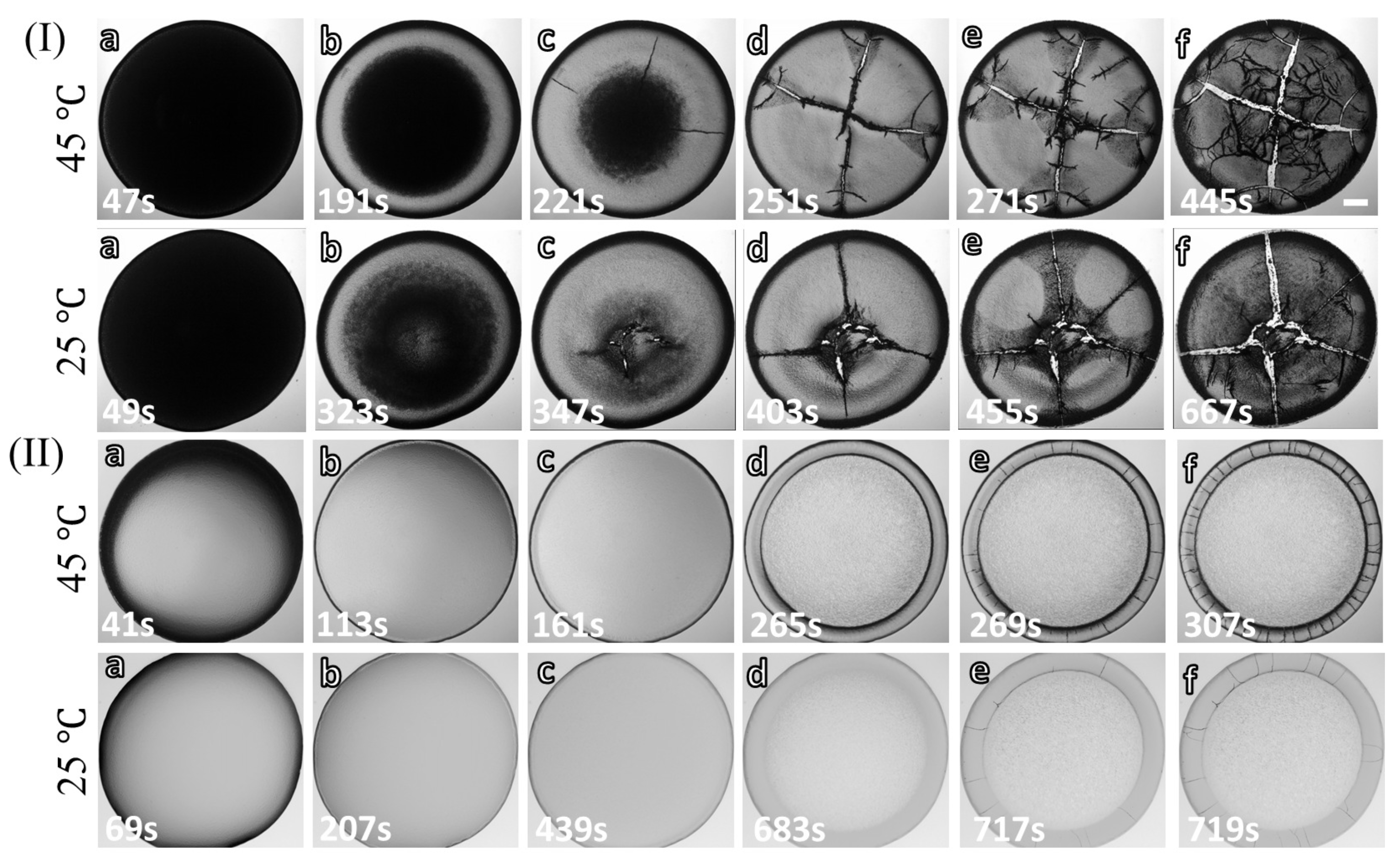 Biomolecules 11 00231 g002