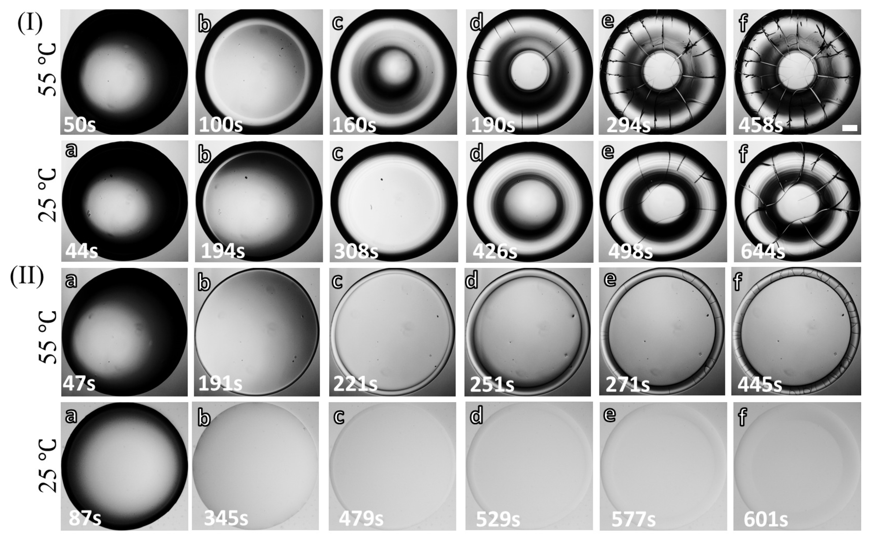 Biomolecules 11 00231 g004