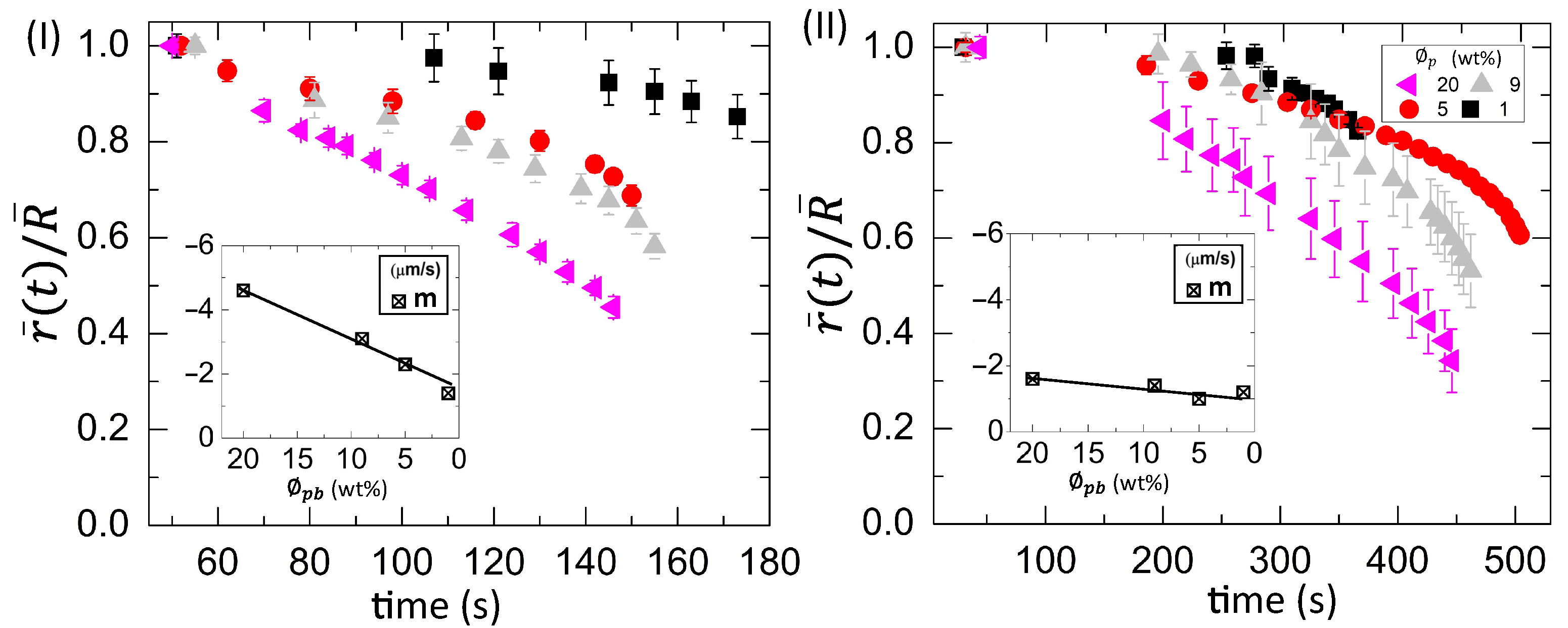 Biomolecules 11 00231 g010