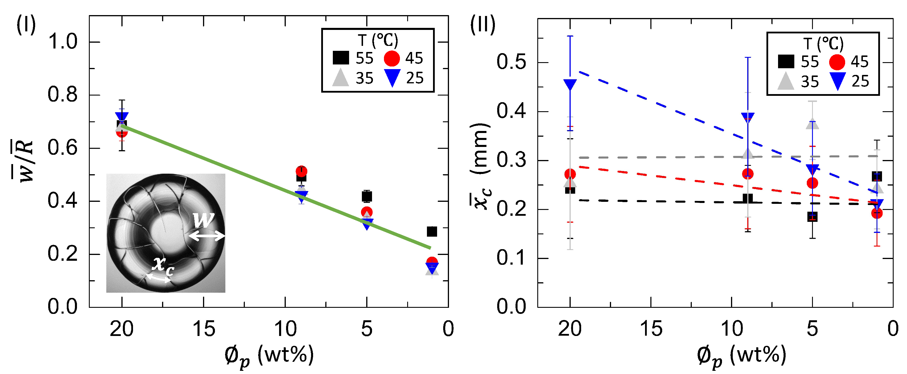 Biomolecules 11 00231 g013