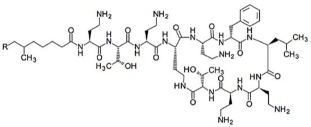 Biomolecules 11 00232 g001