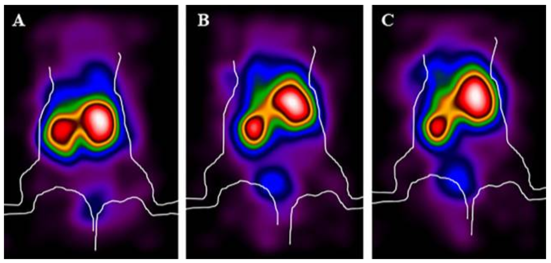 Biomolecules 11 00232 g005