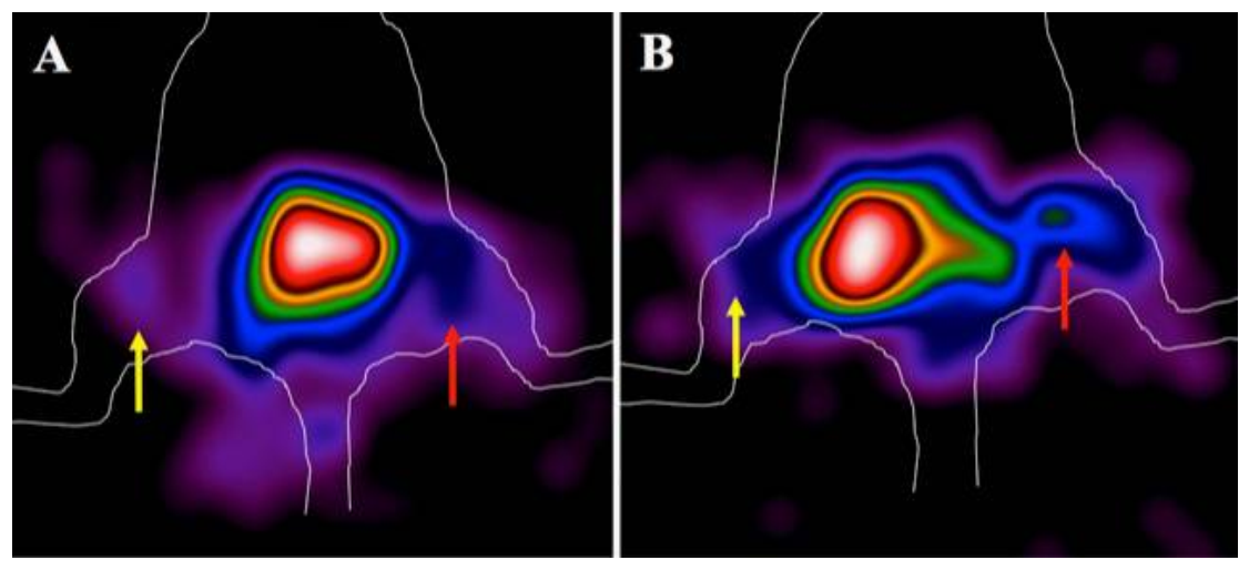 Biomolecules 11 00232 g006