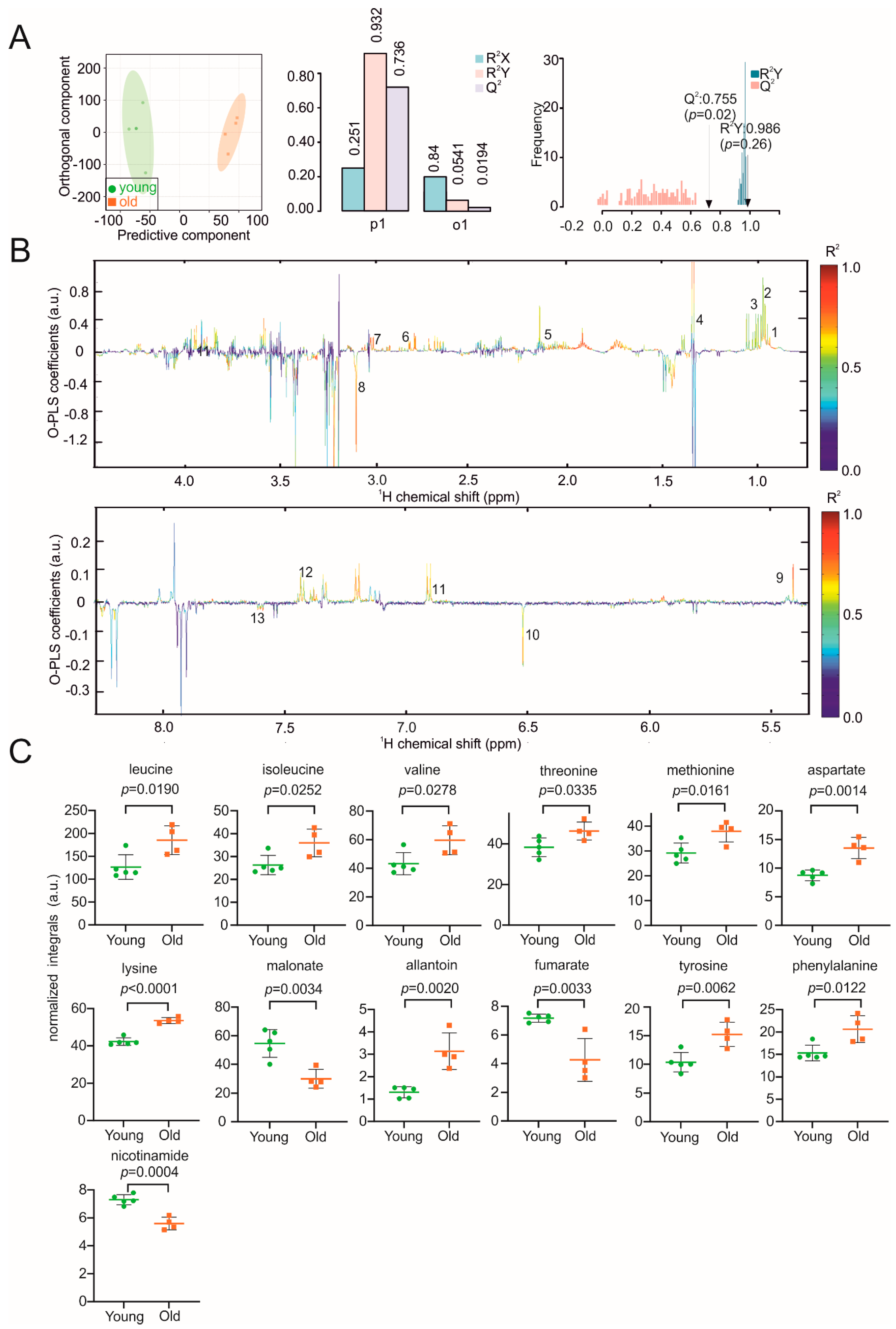 Biomolecules 11 00235 g005 Biomolecules 11 00235 g005