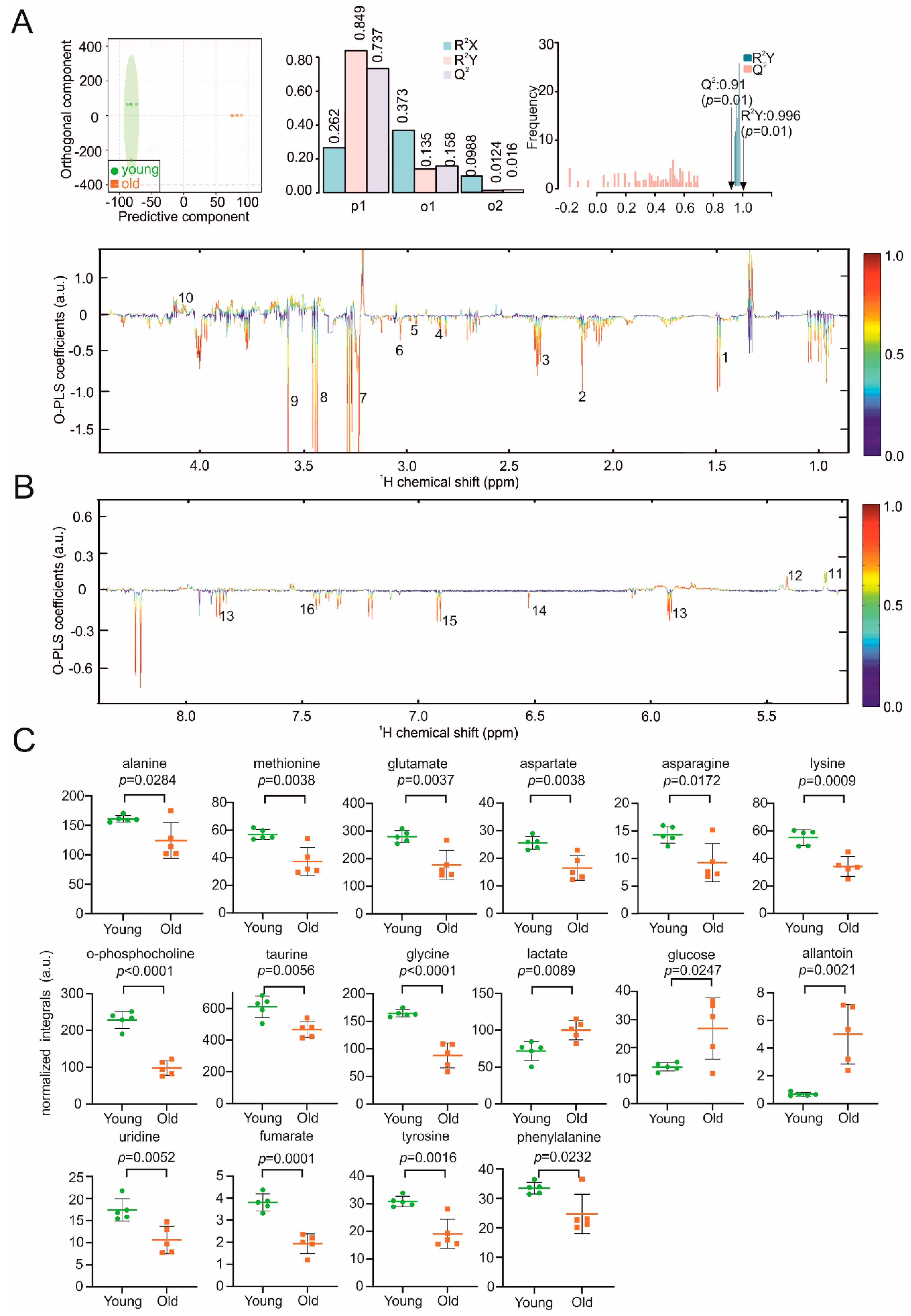 Biomolecules 11 00235 g006 Biomolecules 11 00235 g006