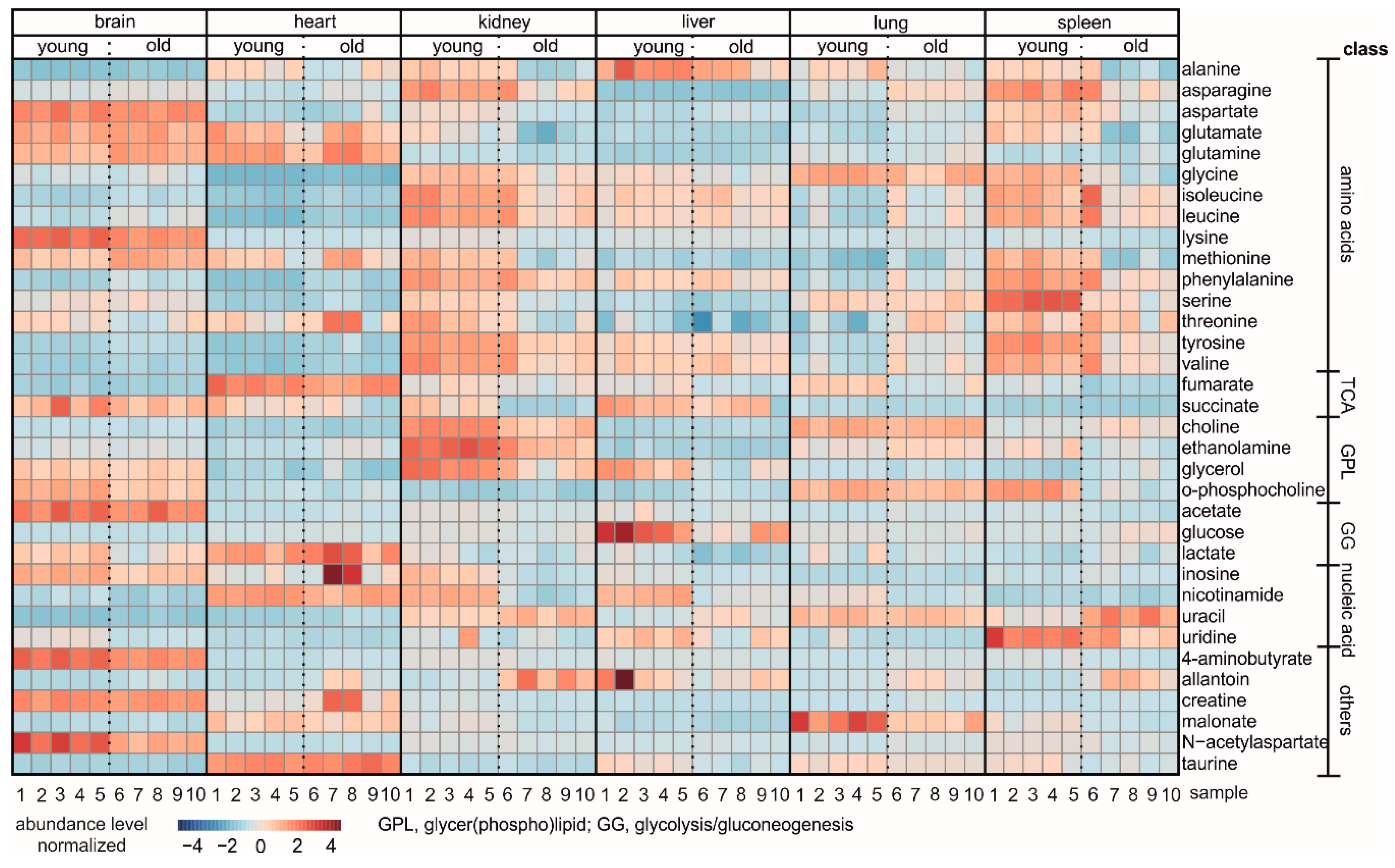 Biomolecules 11 00235 g007 Biomolecules 11 00235 g007
