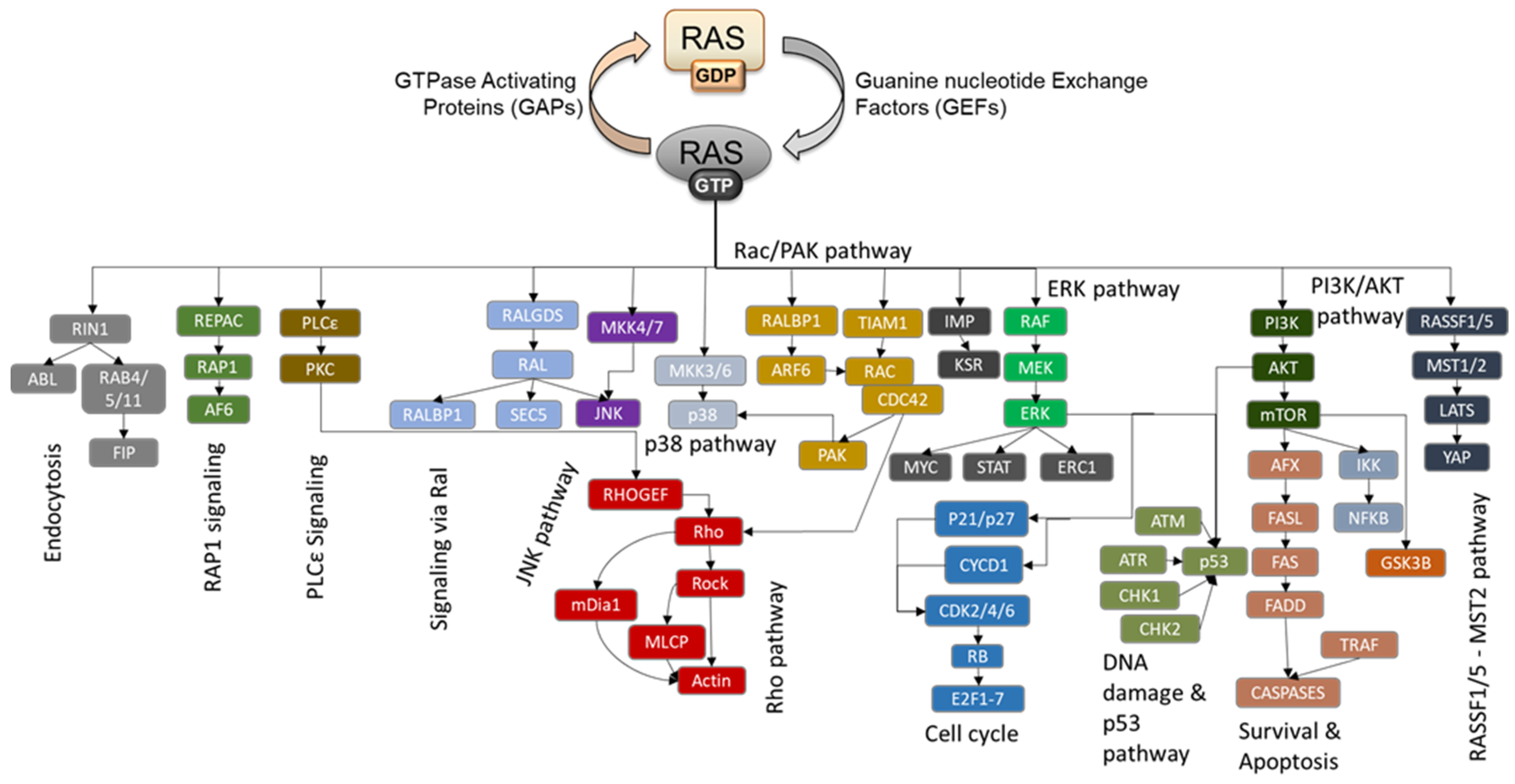 Biomolecules 11 00236 g001