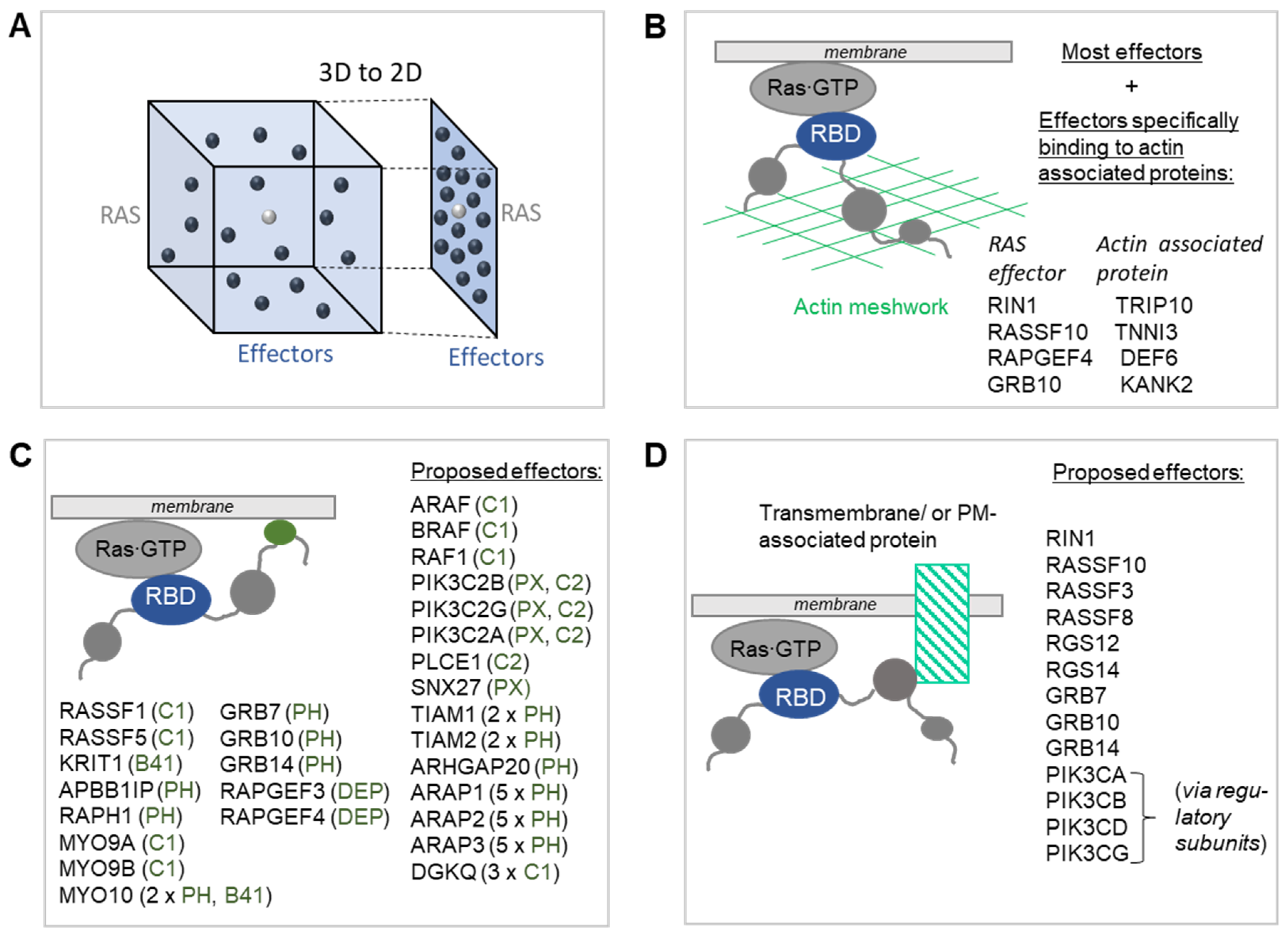 Biomolecules 11 00236 g003