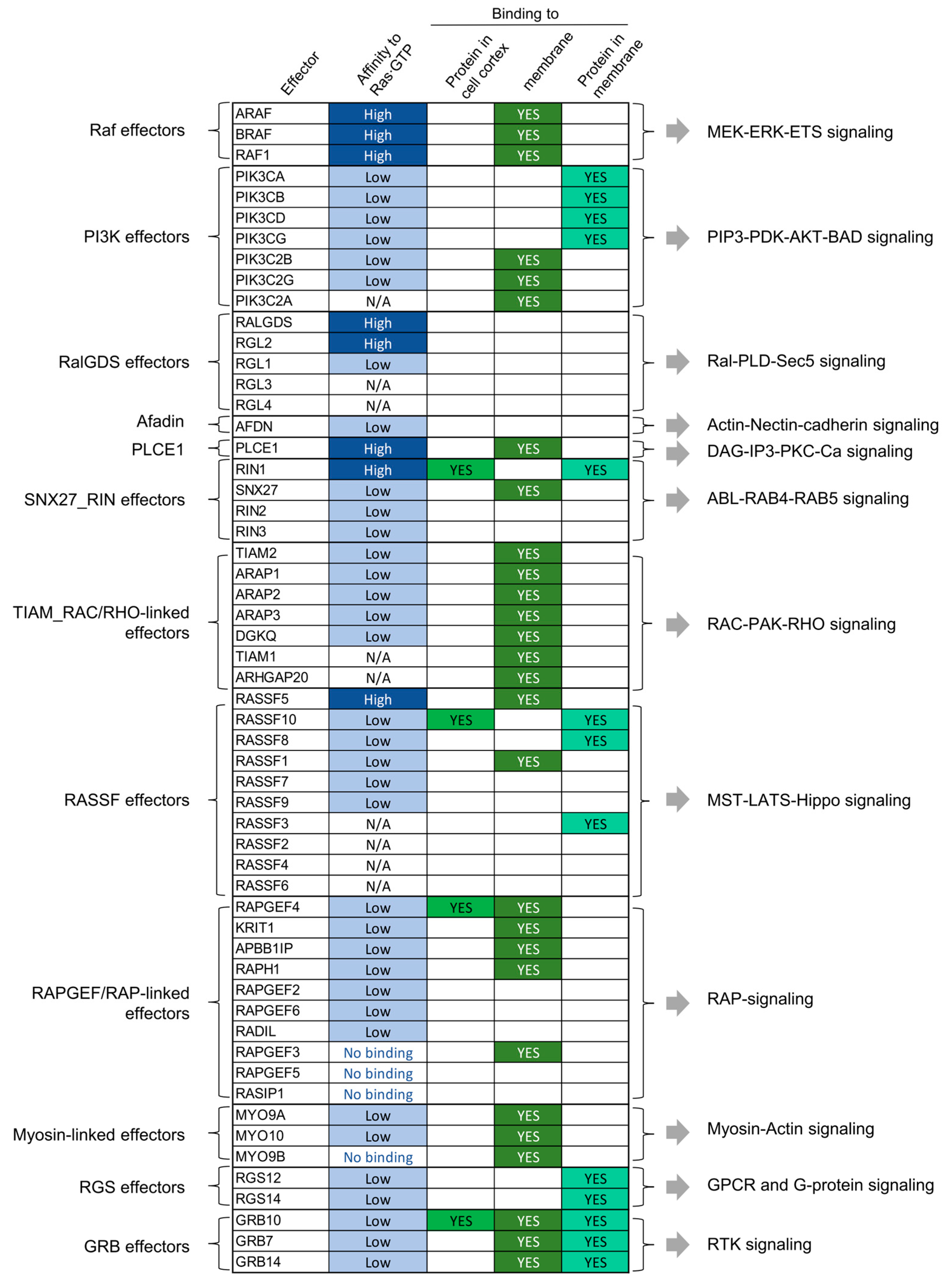 Biomolecules 11 00236 g004