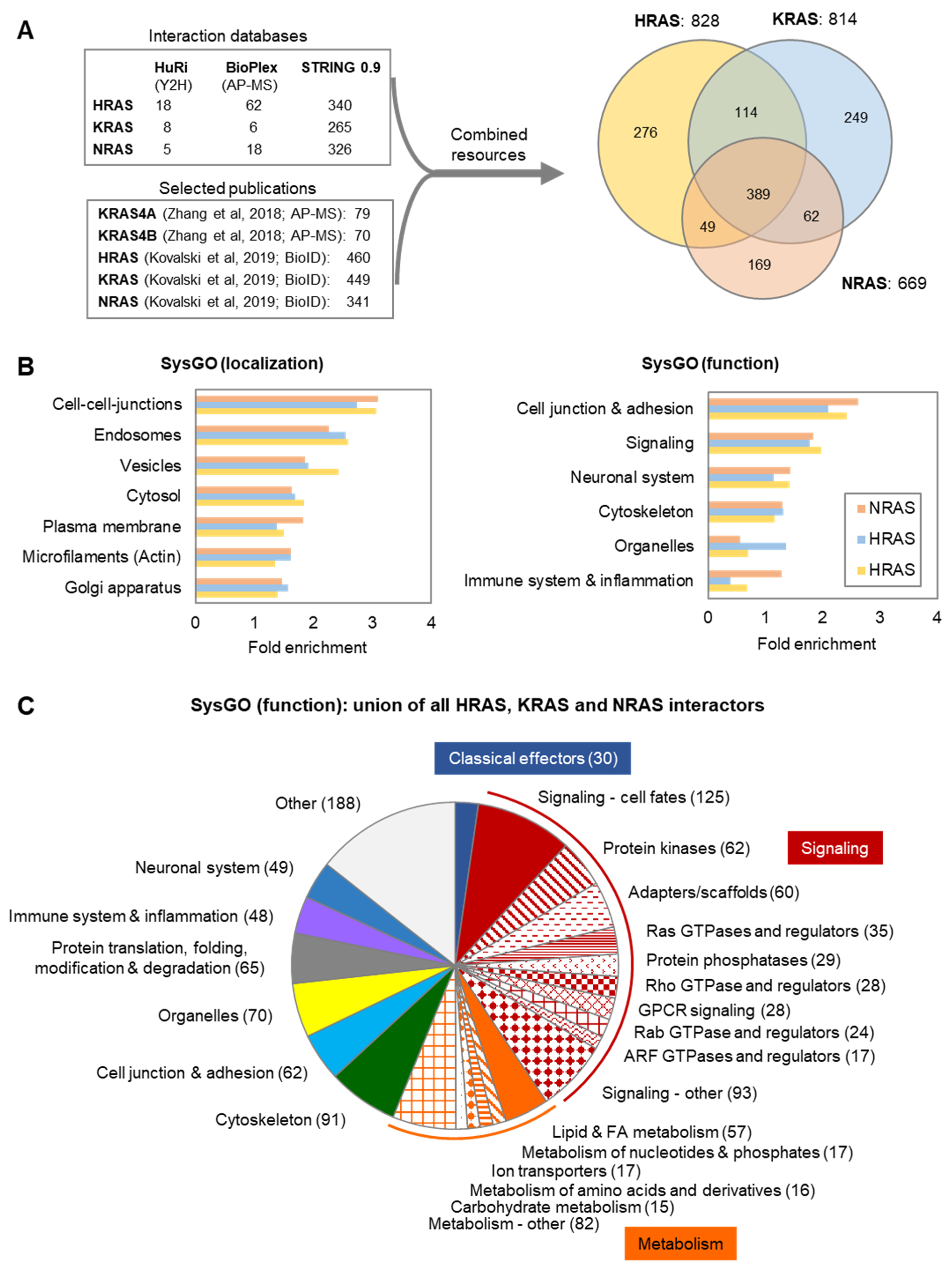 Biomolecules 11 00236 g007