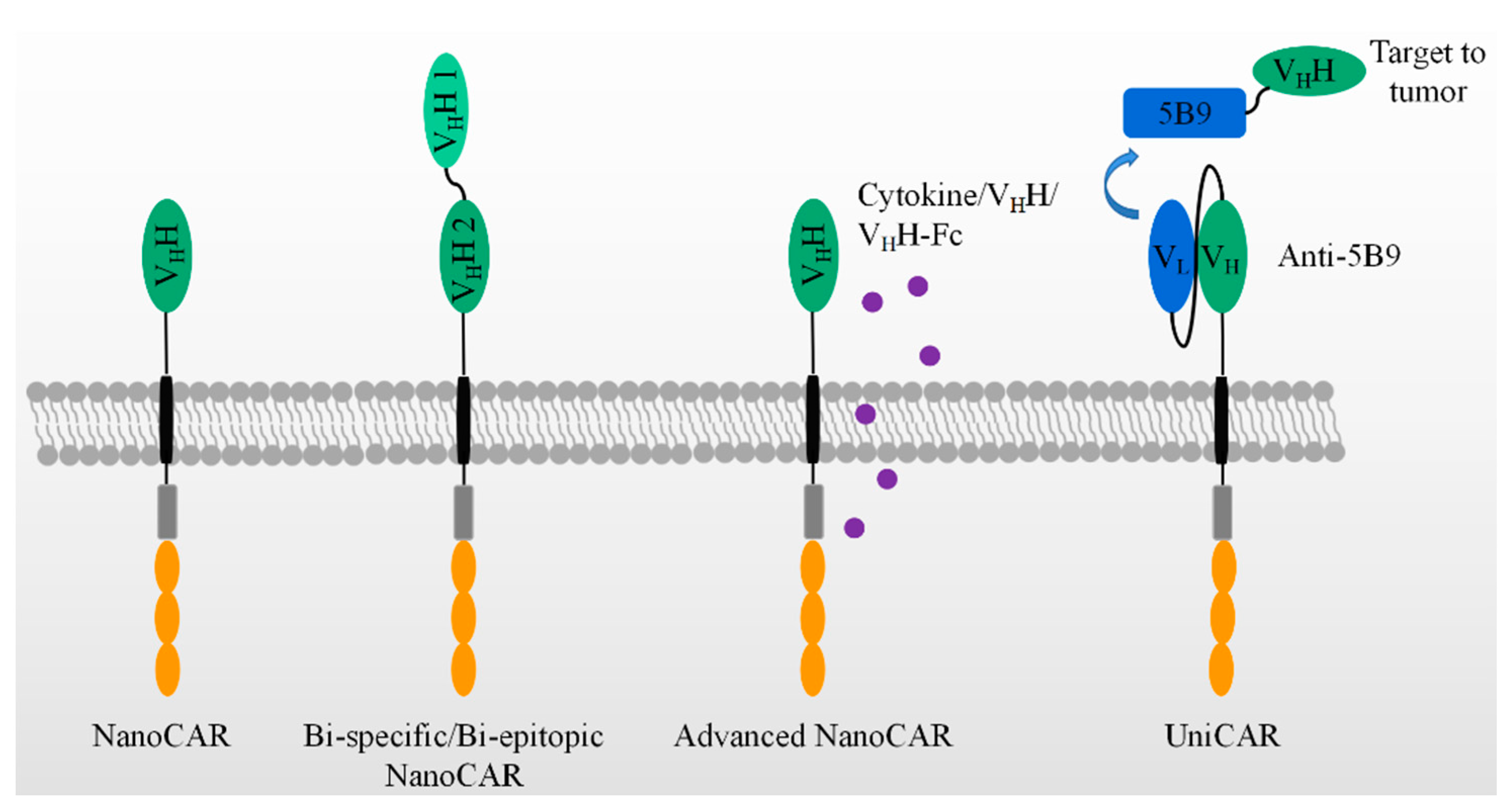 Biomolecules 11 00238 g003