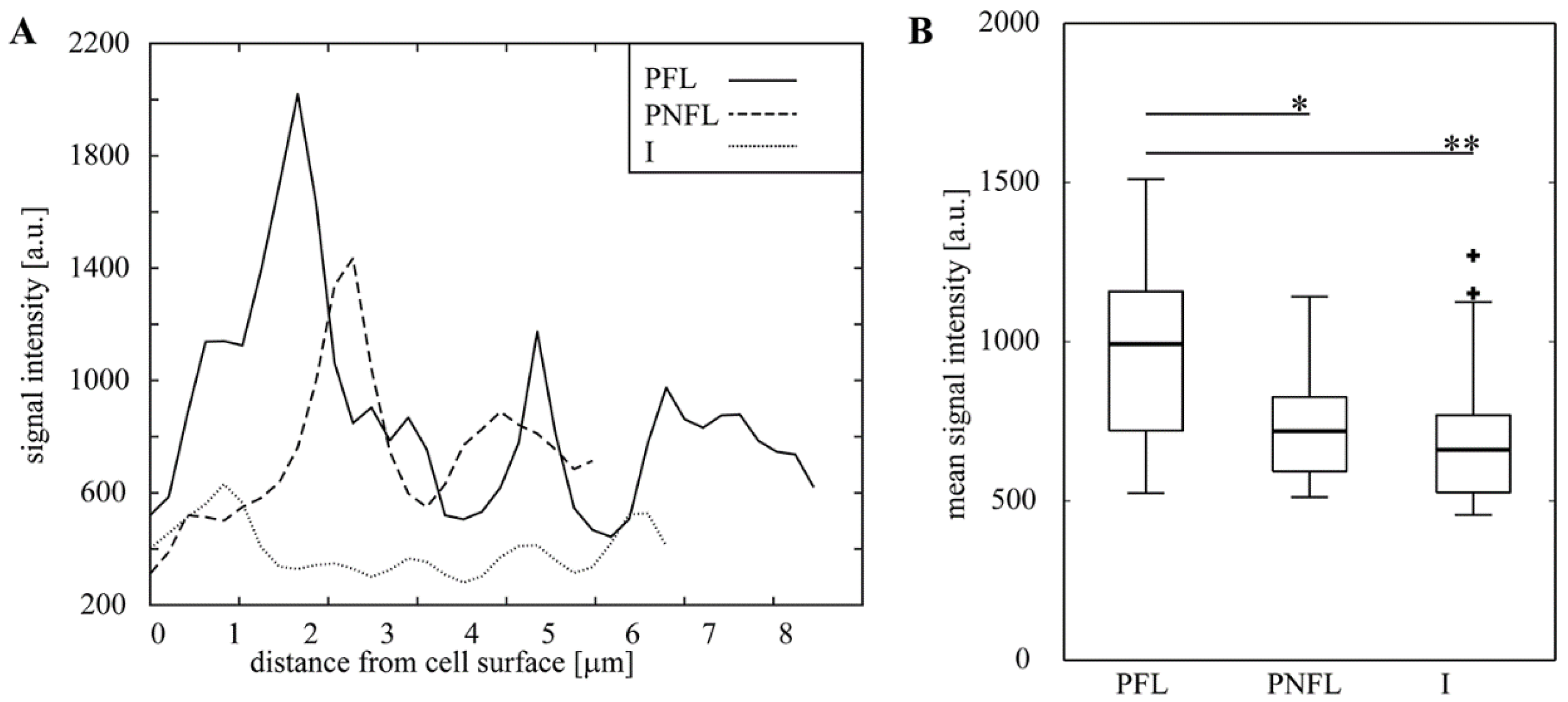 Biomolecules 11 00239 g007