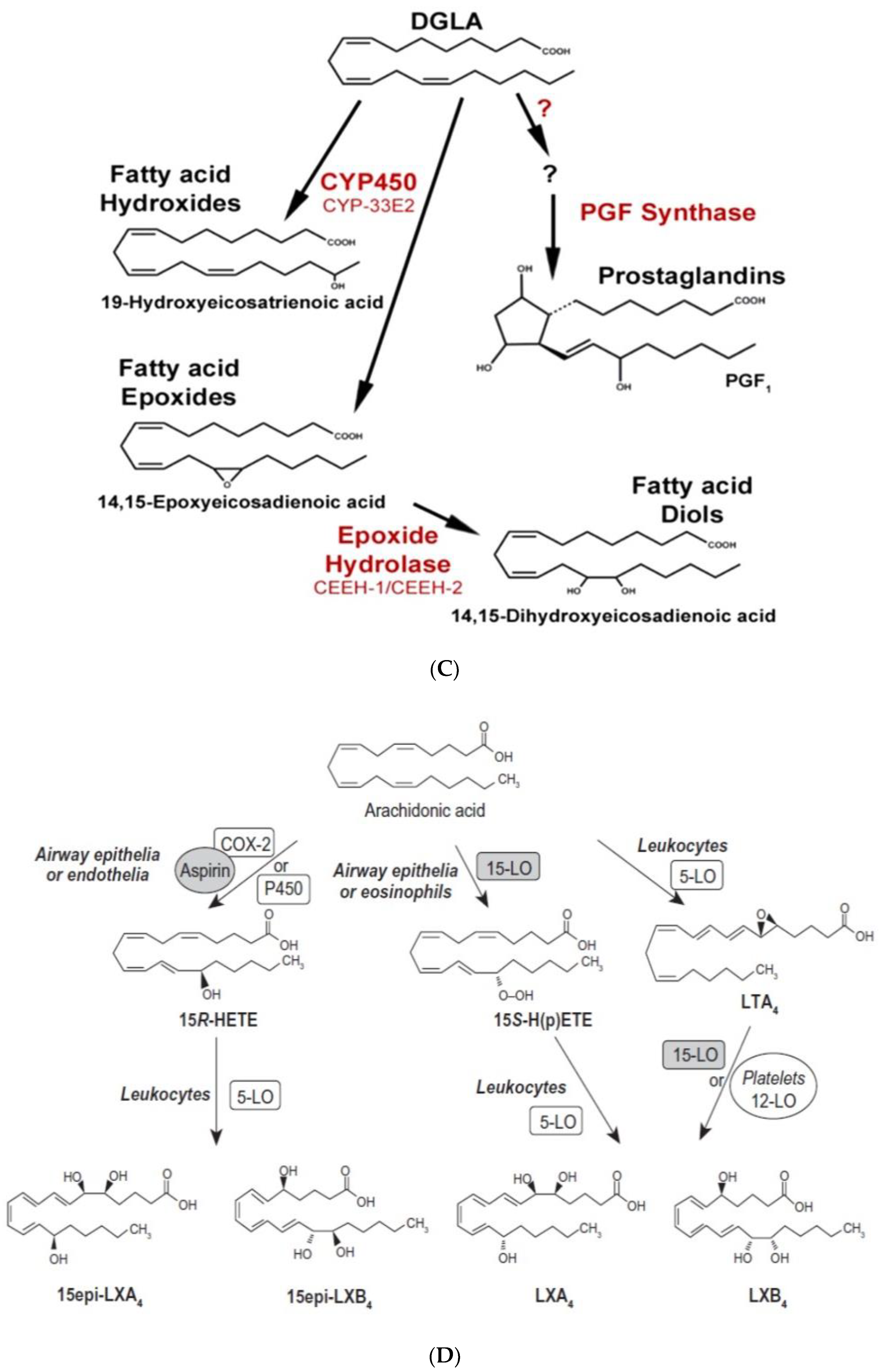 Biomolecules 11 00241 g002b