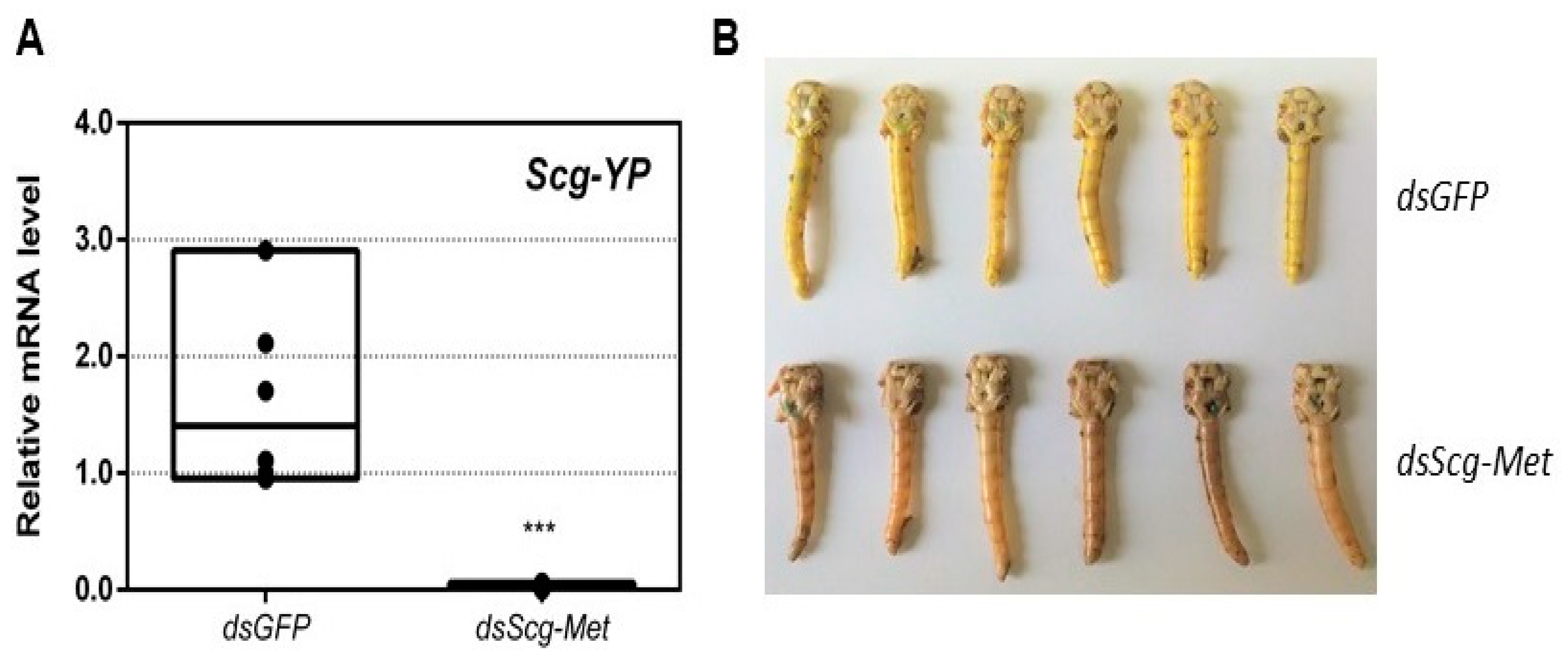 Biomolecules 11 00244 g003