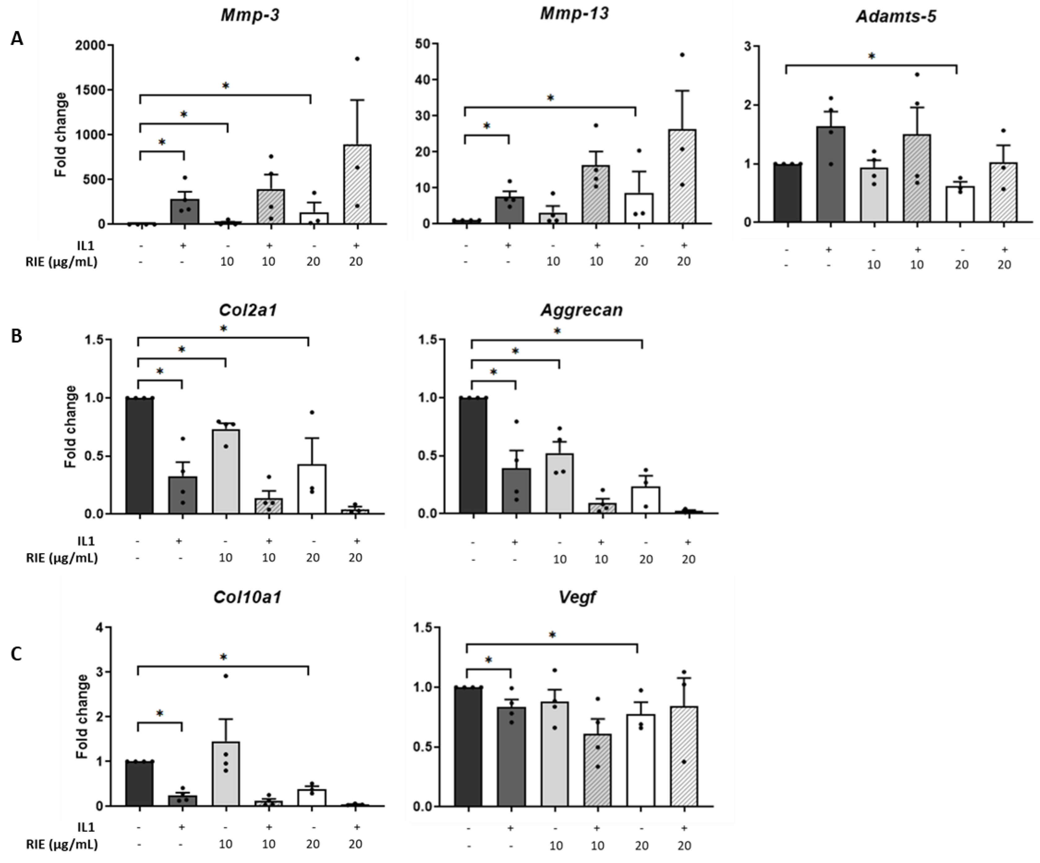 Biomolecules 11 00245 g001