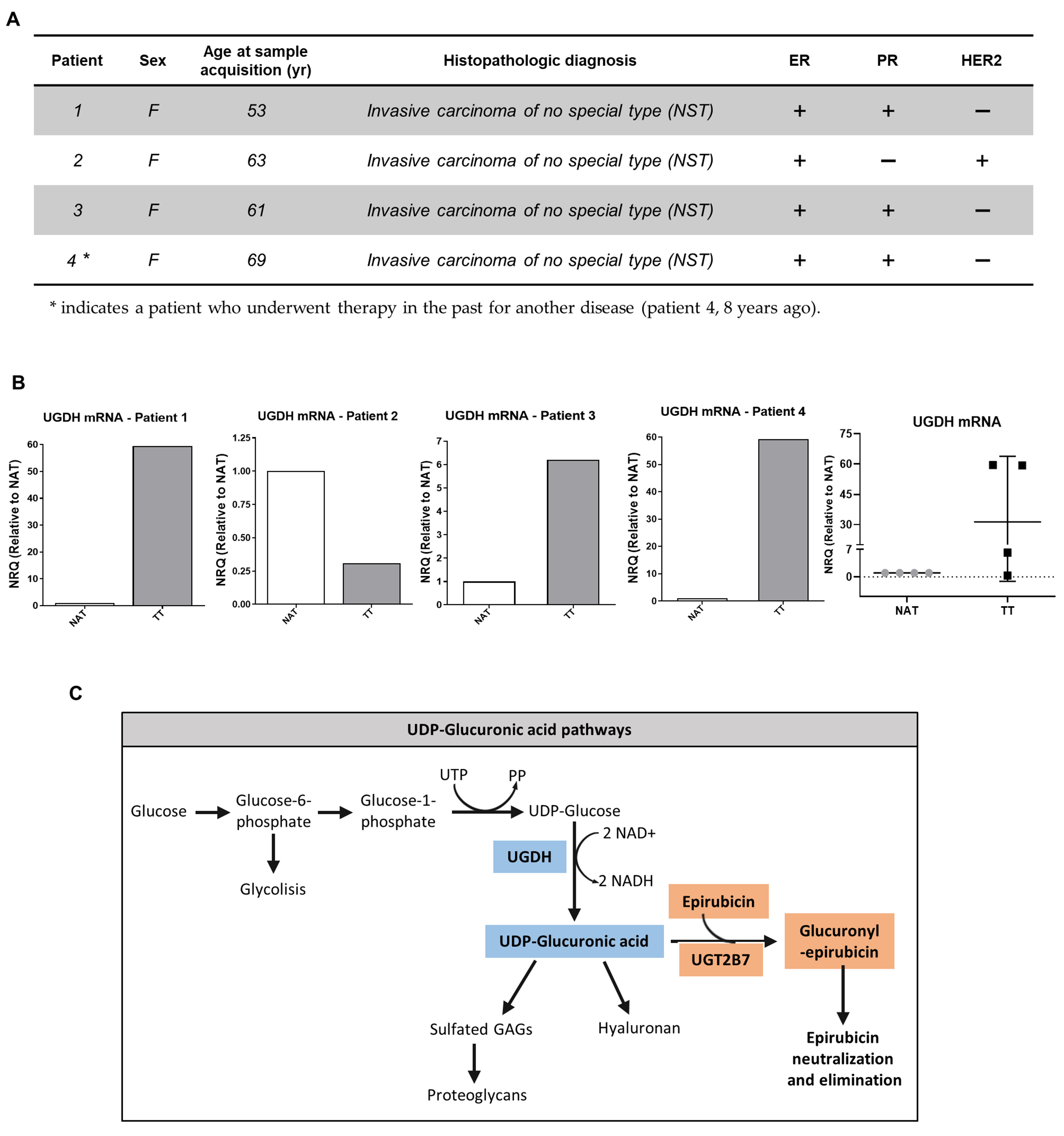 Biomolecules 11 00246 g002