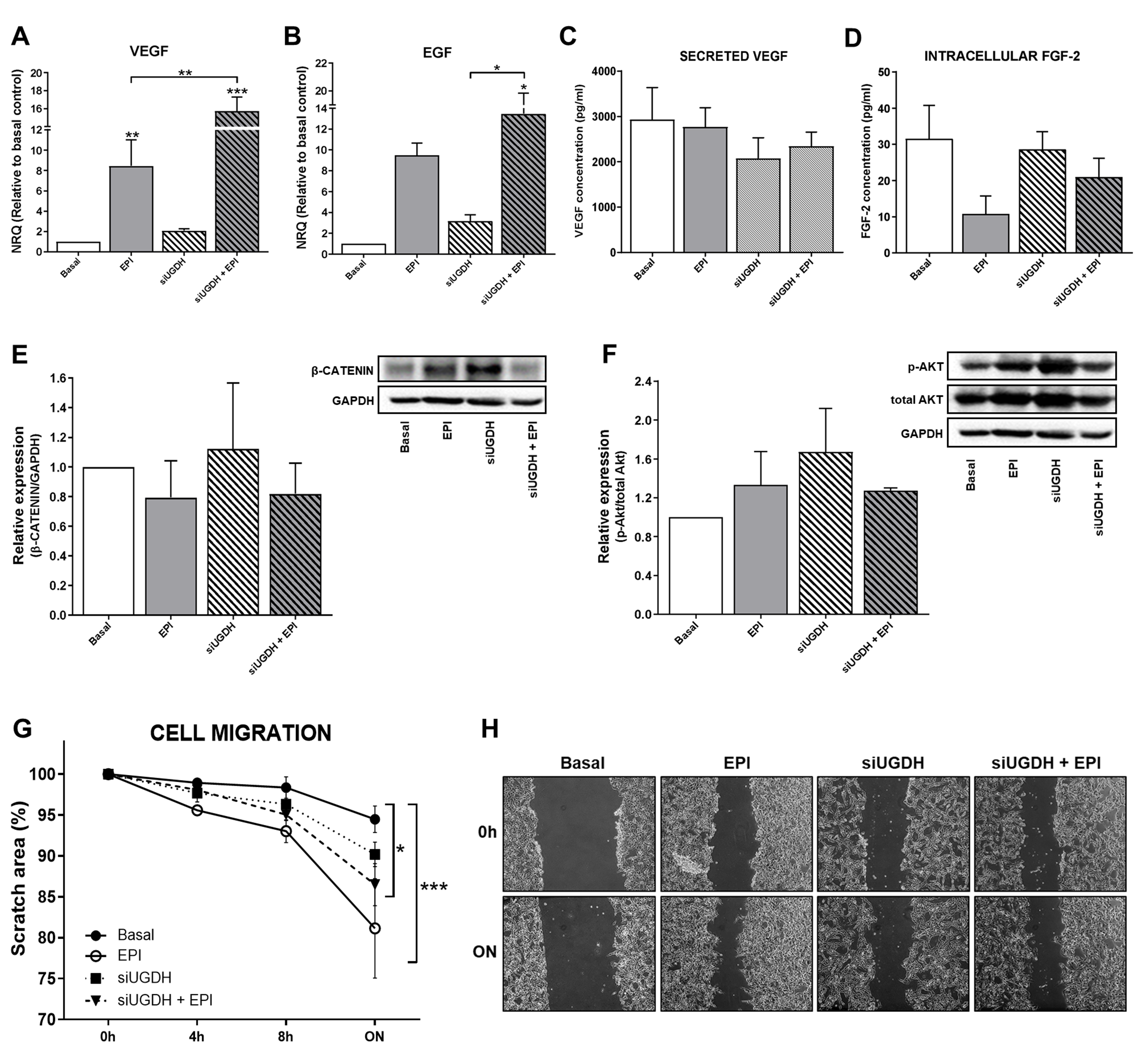 Biomolecules 11 00246 g005