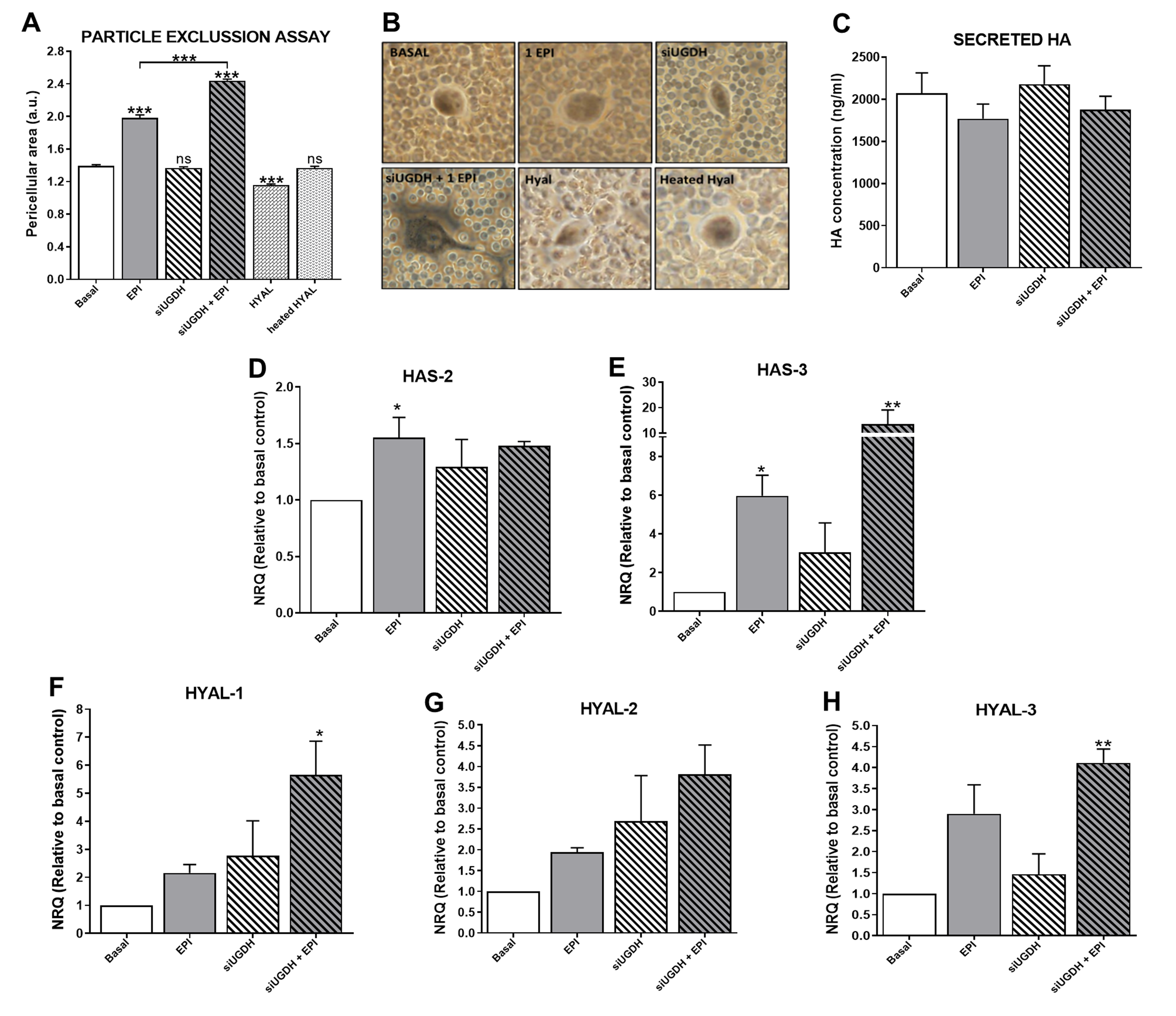 Biomolecules 11 00246 g007