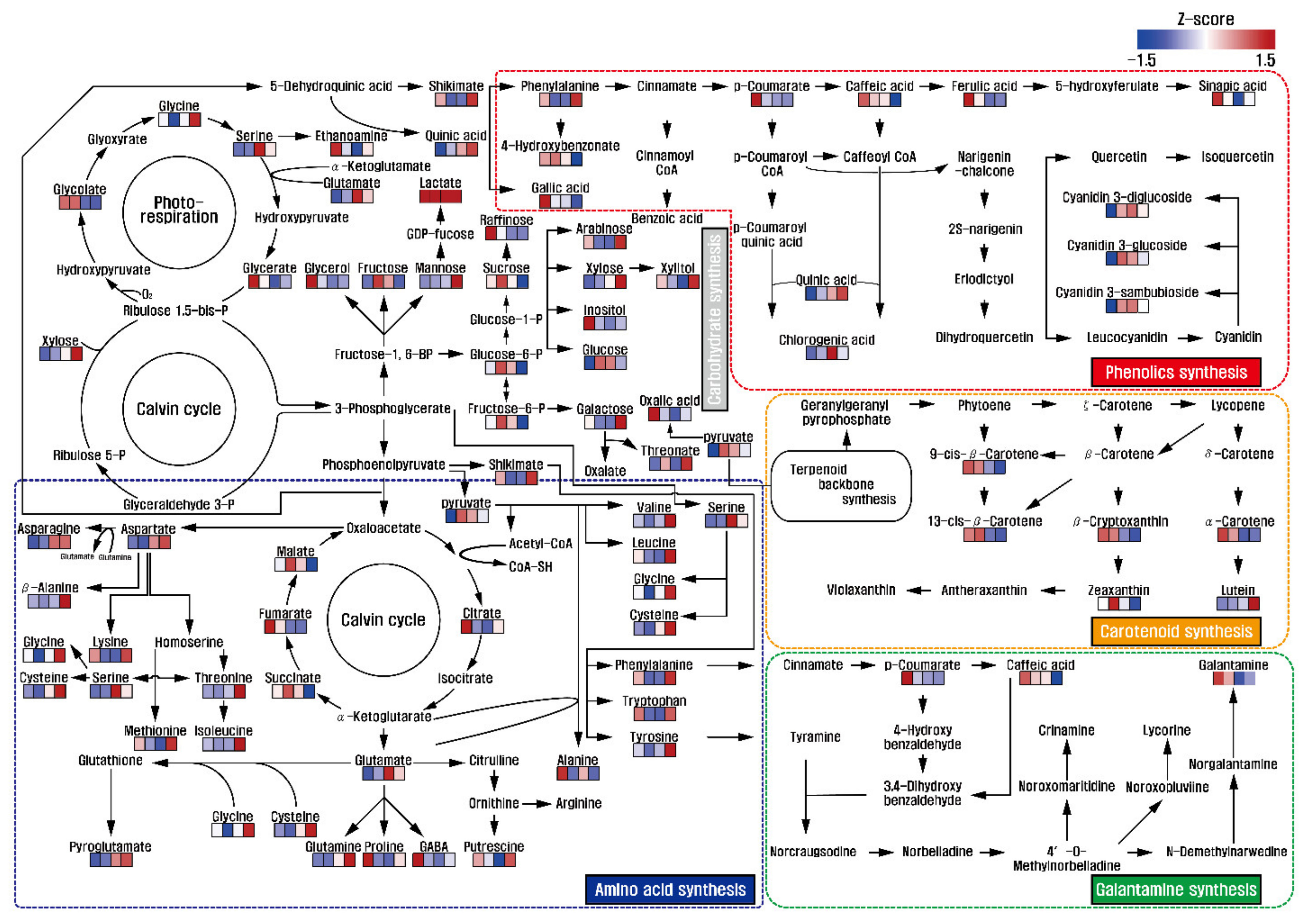 Biomolecules 11 00248 g002 Biomolecules 11 00248 g002