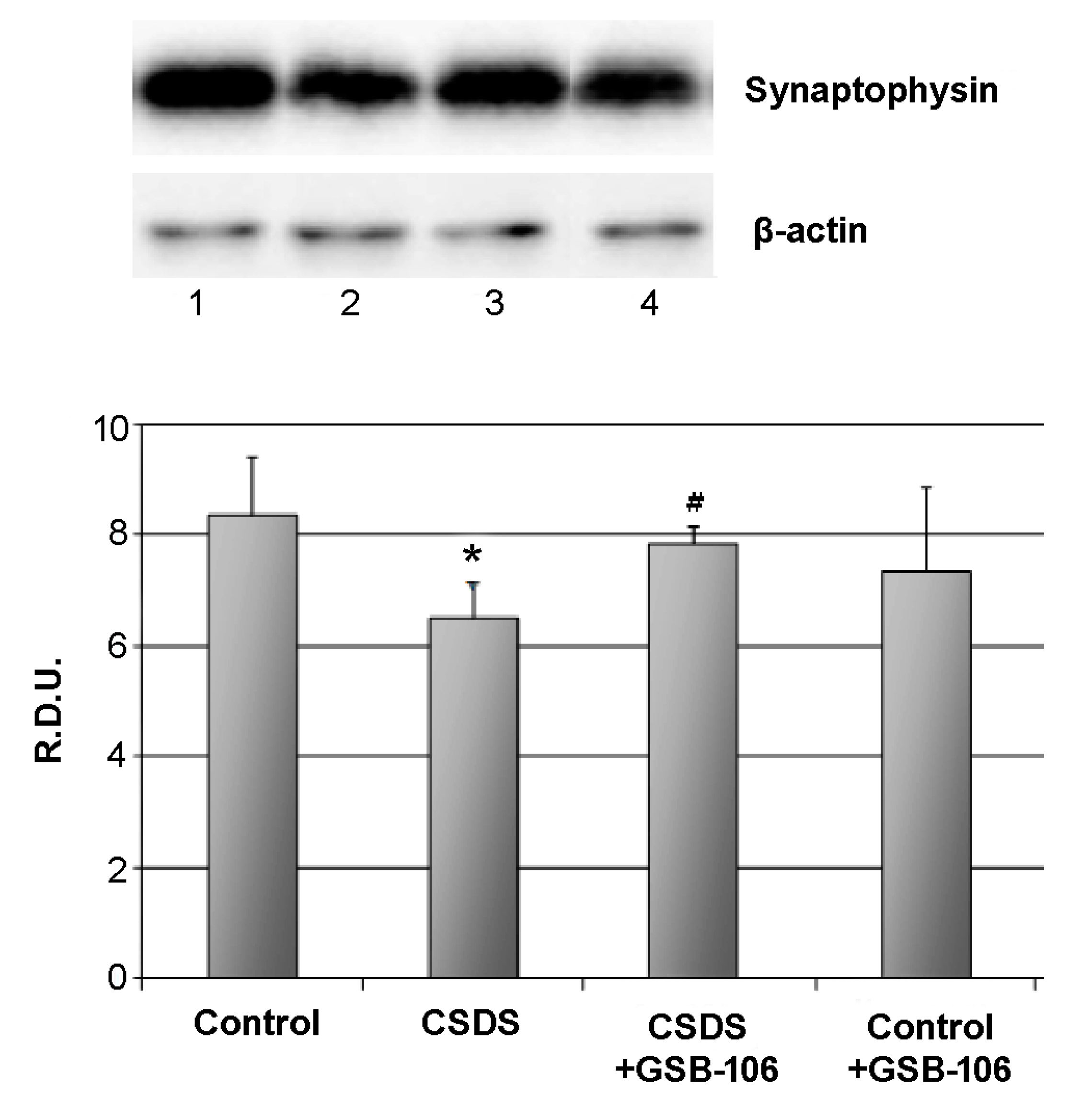 Biomolecules 11 00252 g002 Biomolecules 11 00252 g002
