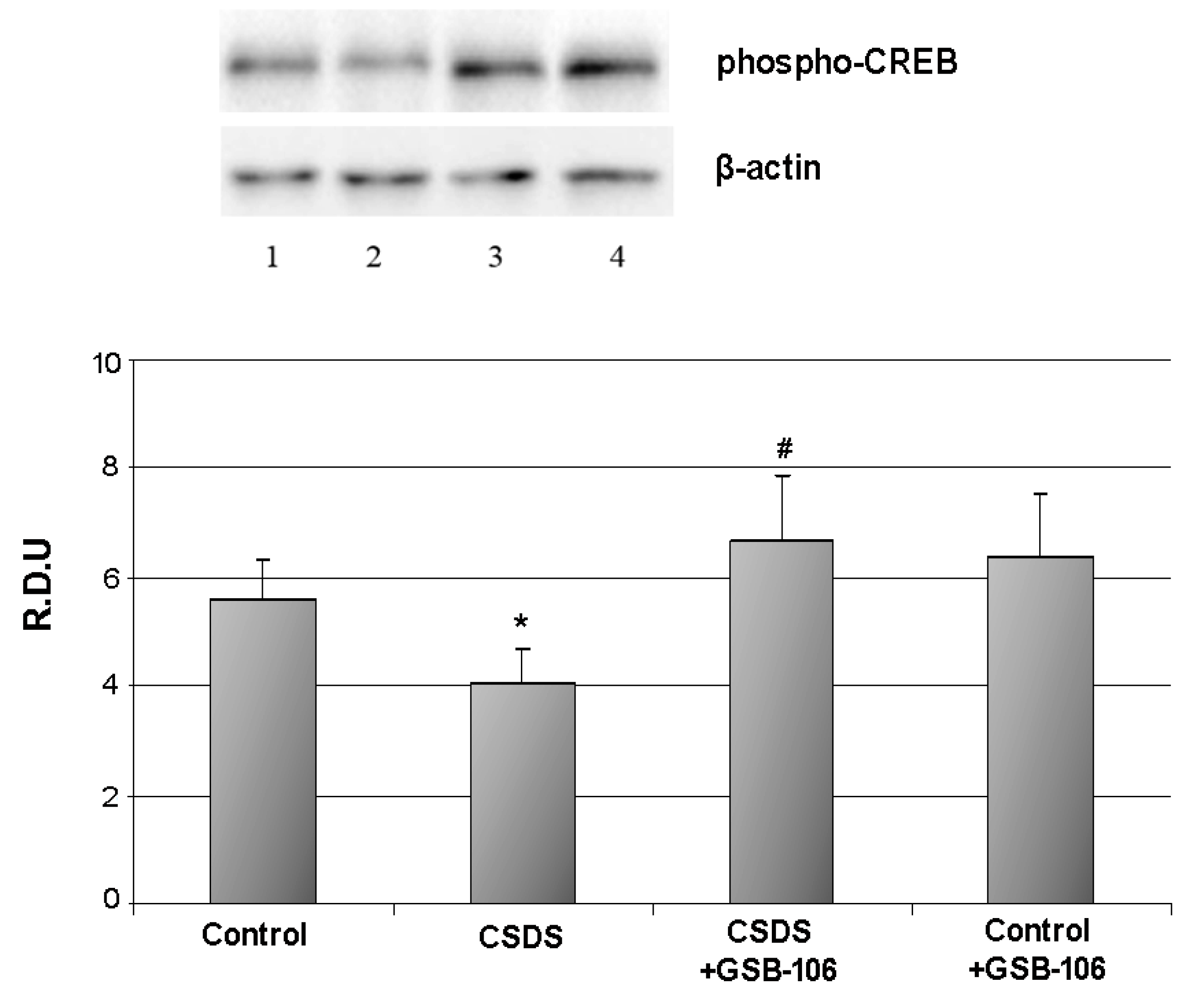 Biomolecules 11 00252 g004 Biomolecules 11 00252 g004