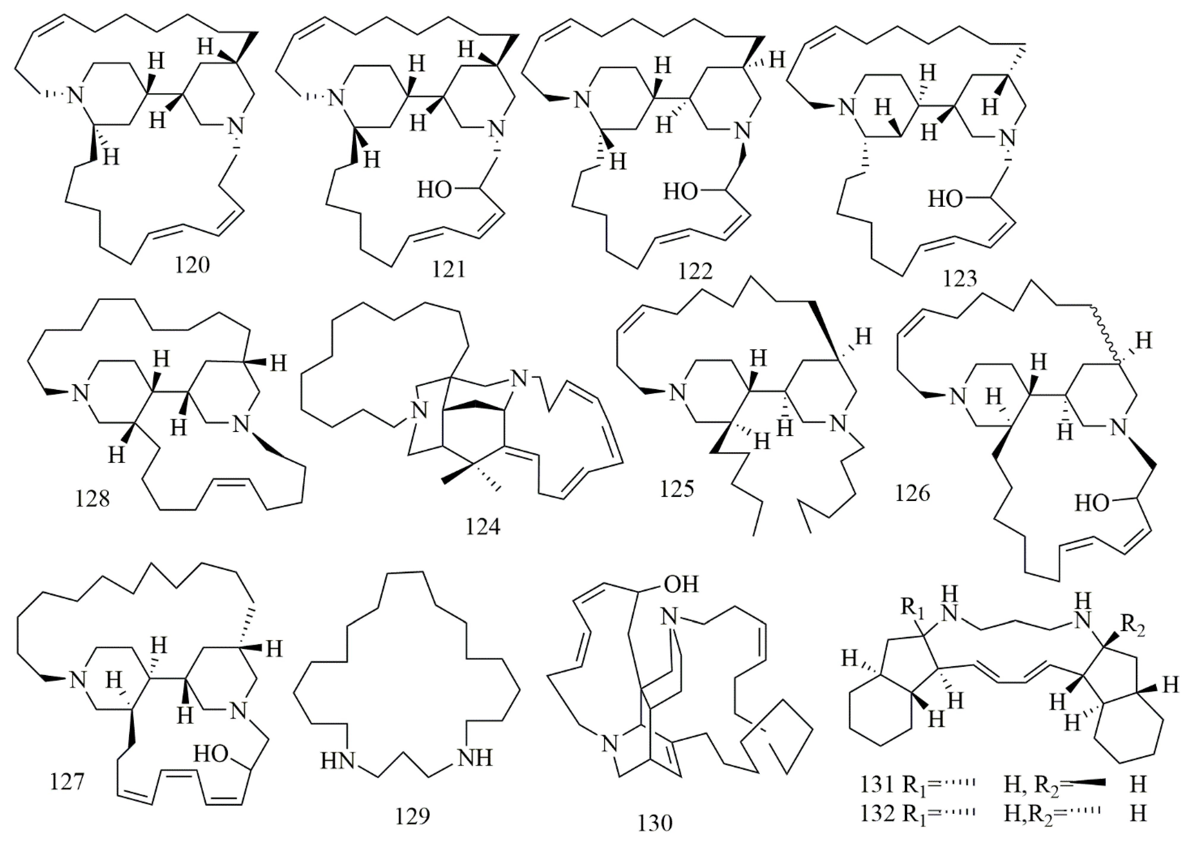Biomolecules 11 00258 g010 Biomolecules 11 00258 g010