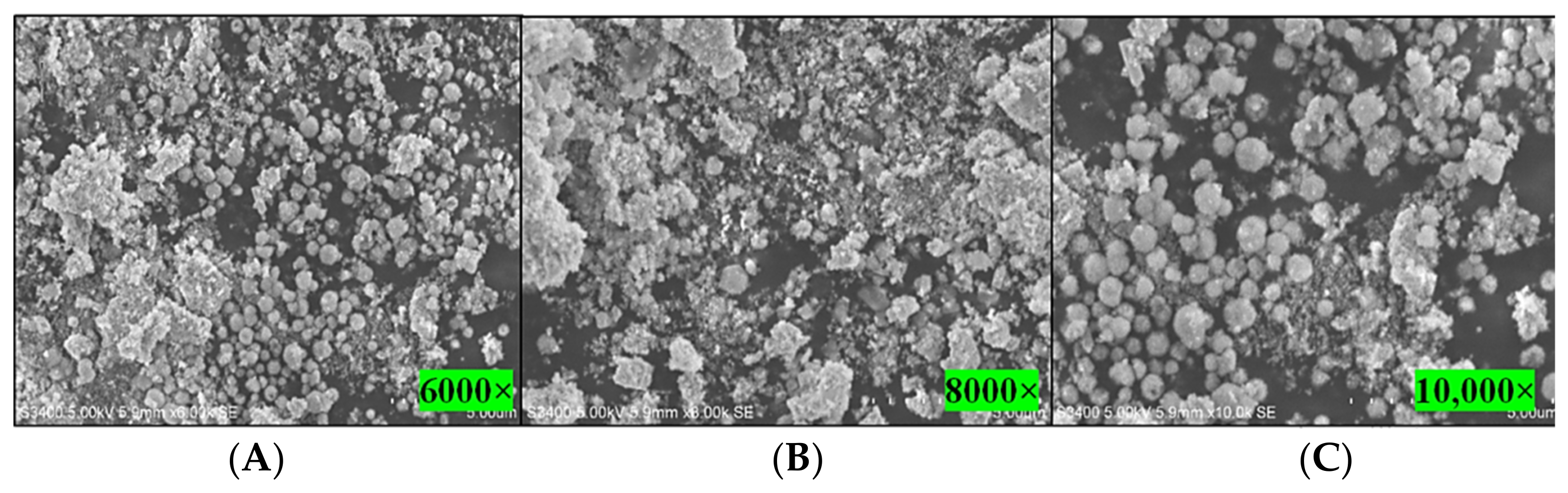 Biomolecules 11 00259 g004 Biomolecules 11 00259 g004