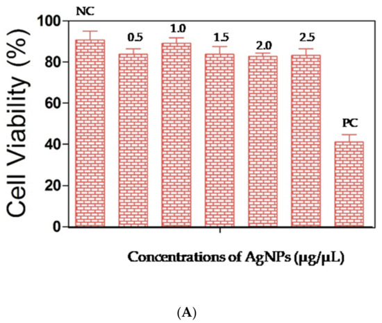 Biomolecules 11 00259 g008a Biomolecules 11 00259 g008a