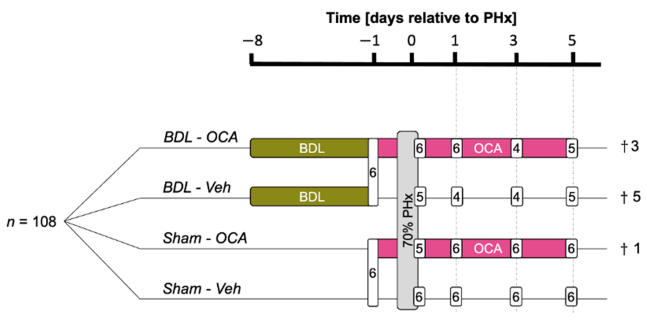 Biomolecules 11 00260 g001 Biomolecules 11 00260 g001